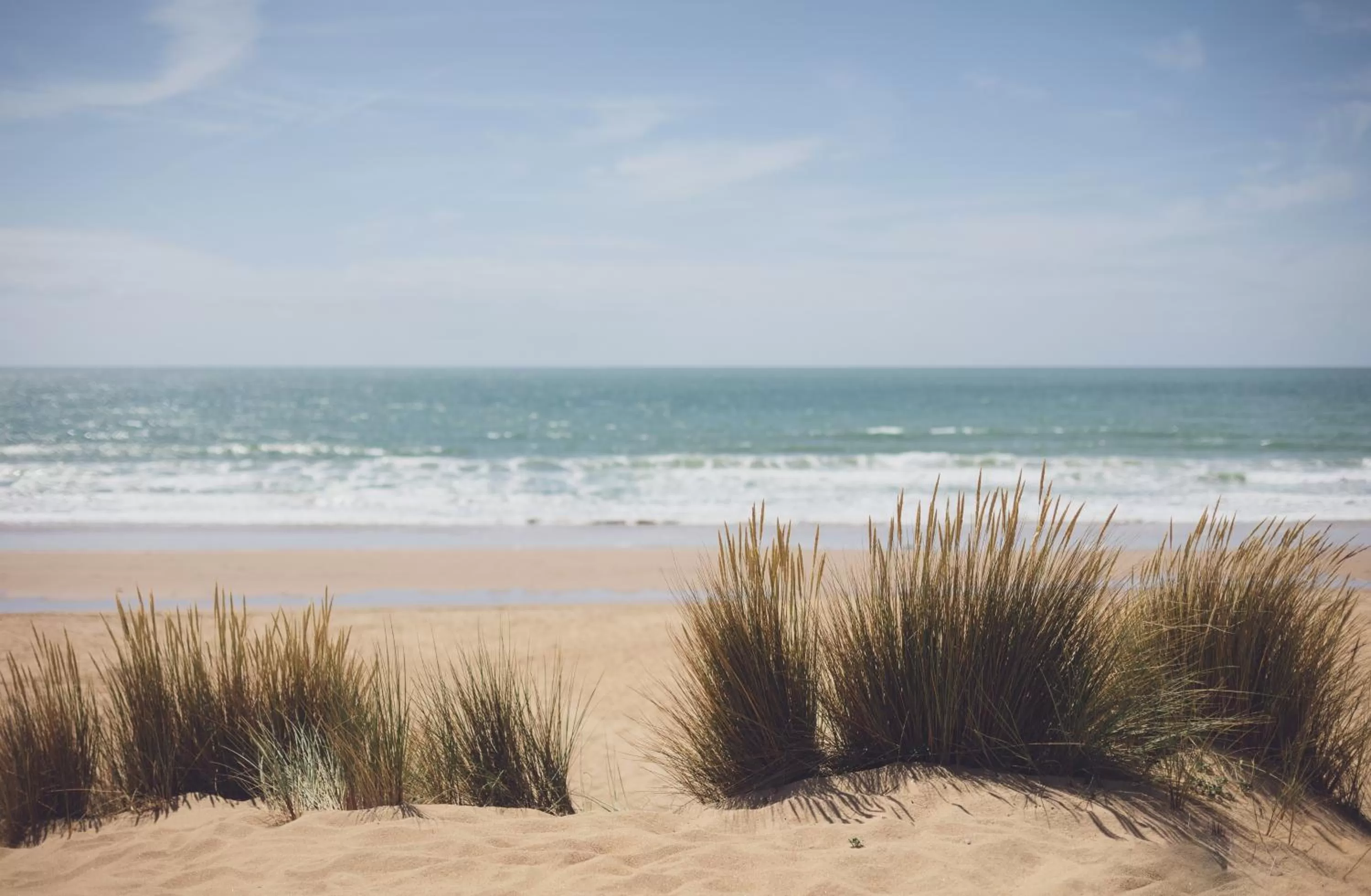 Beach in La Côte de Lumière