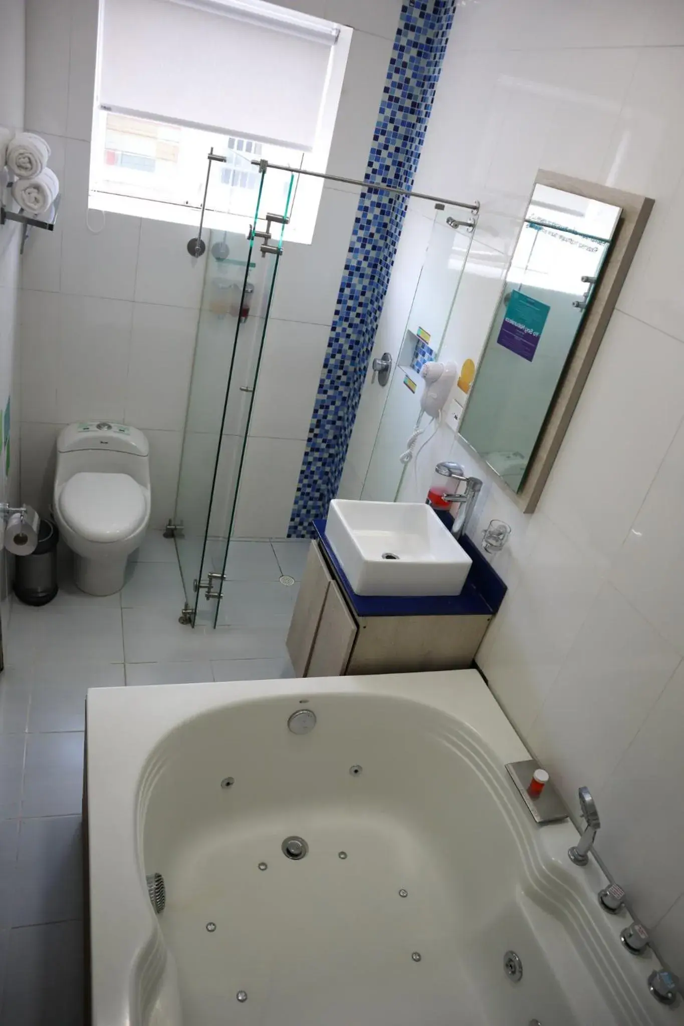 Shower, Bathroom in Sixtina Plaza Hotel