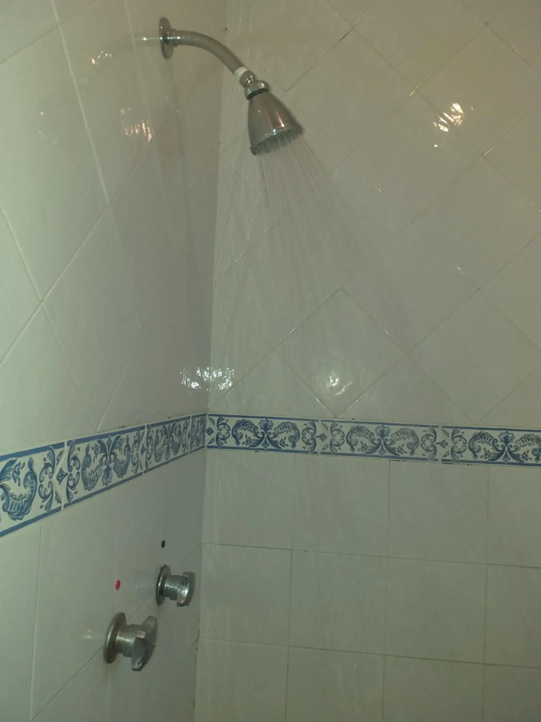 Shower, Bathroom in Best Western Saltillo