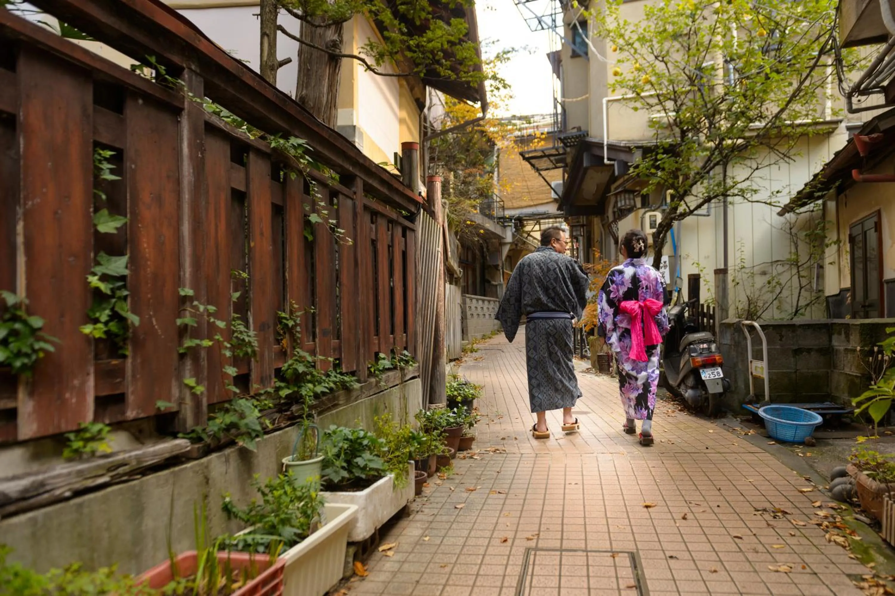 Area and facilities in Sakaeya