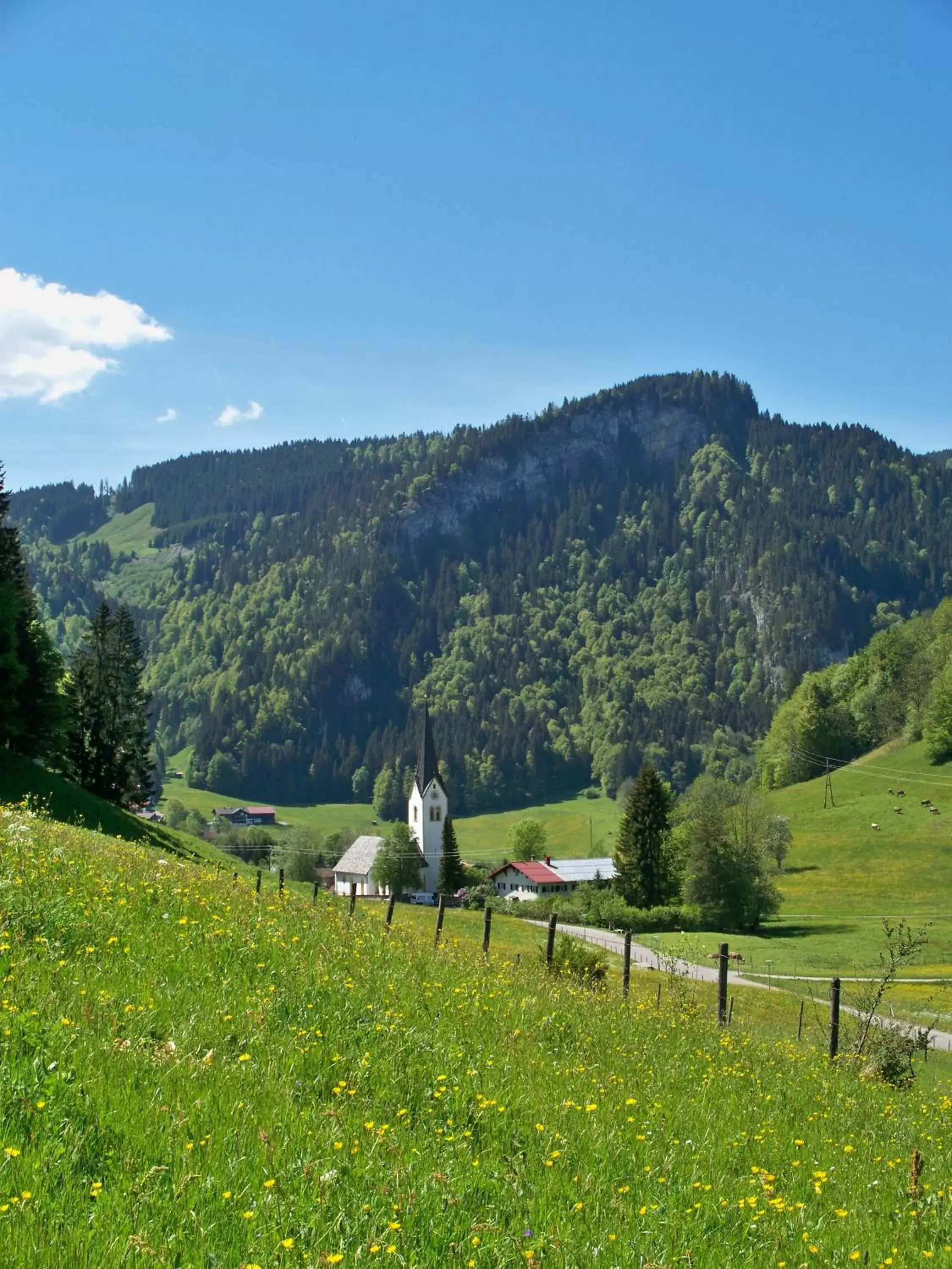 Area and facilities in Hotel Bergruh