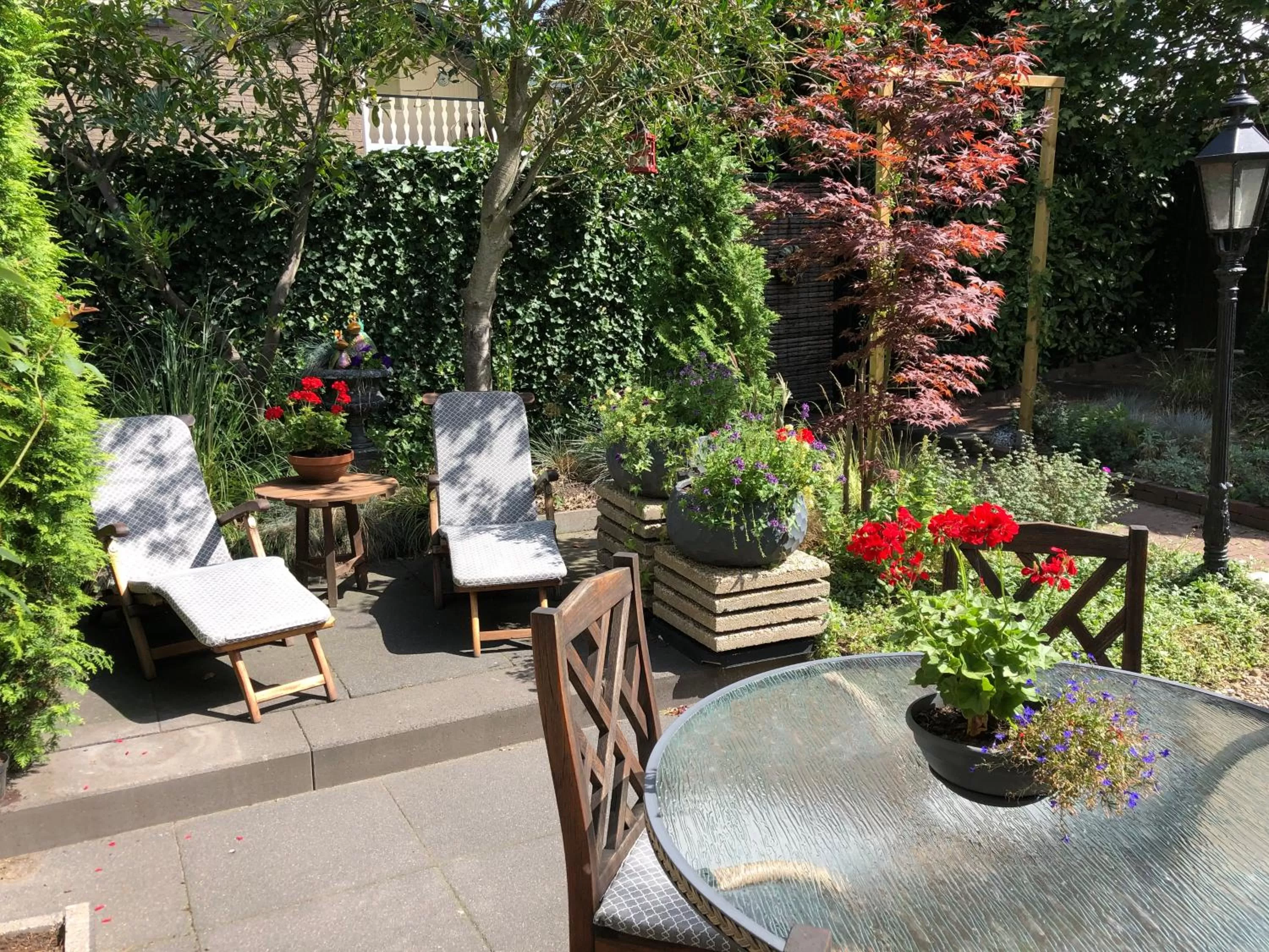 Garden in Walnut Lodge Bed & Breakfast