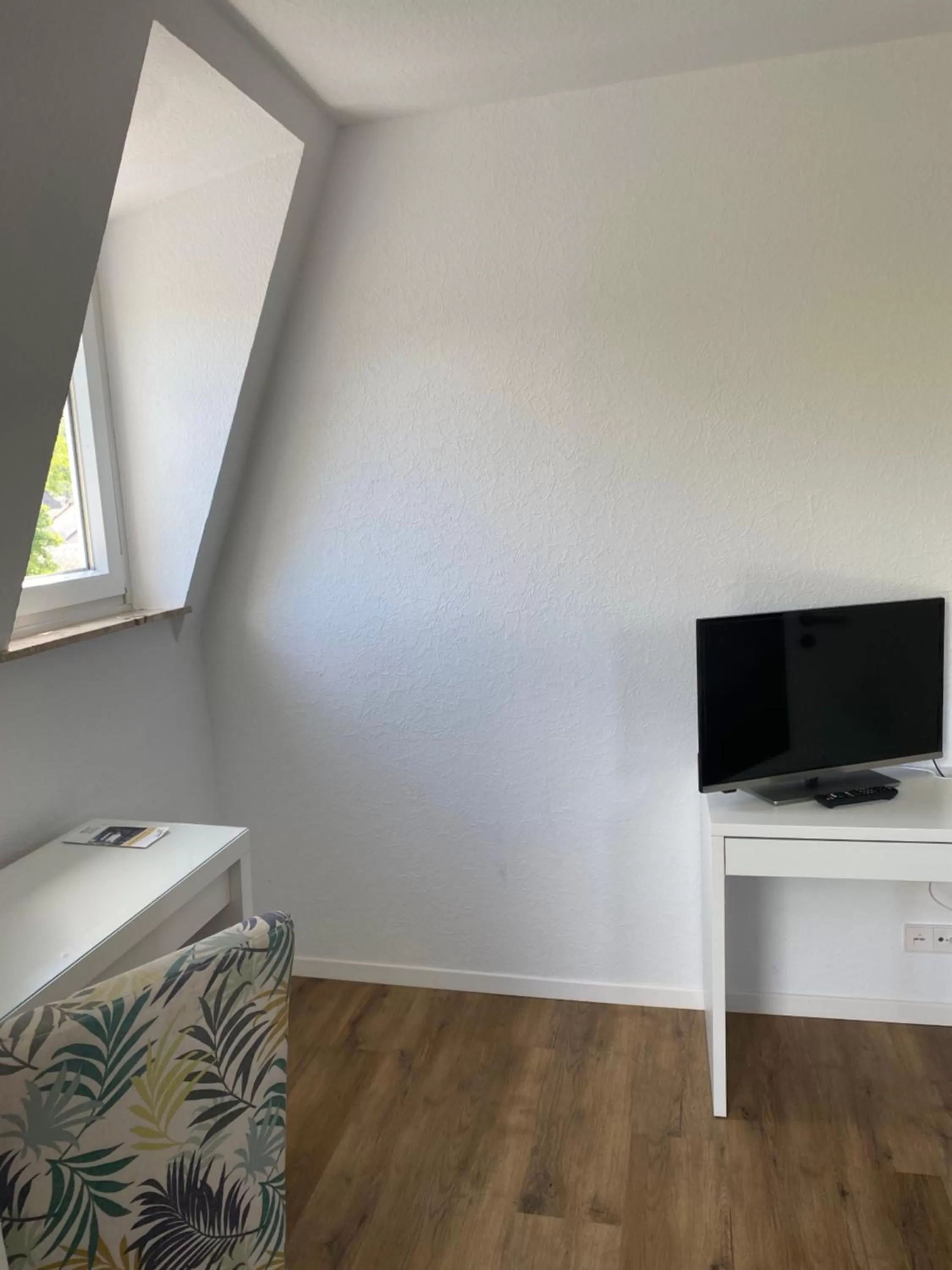 TV/Entertainment Center in Pension Zur Fähre
