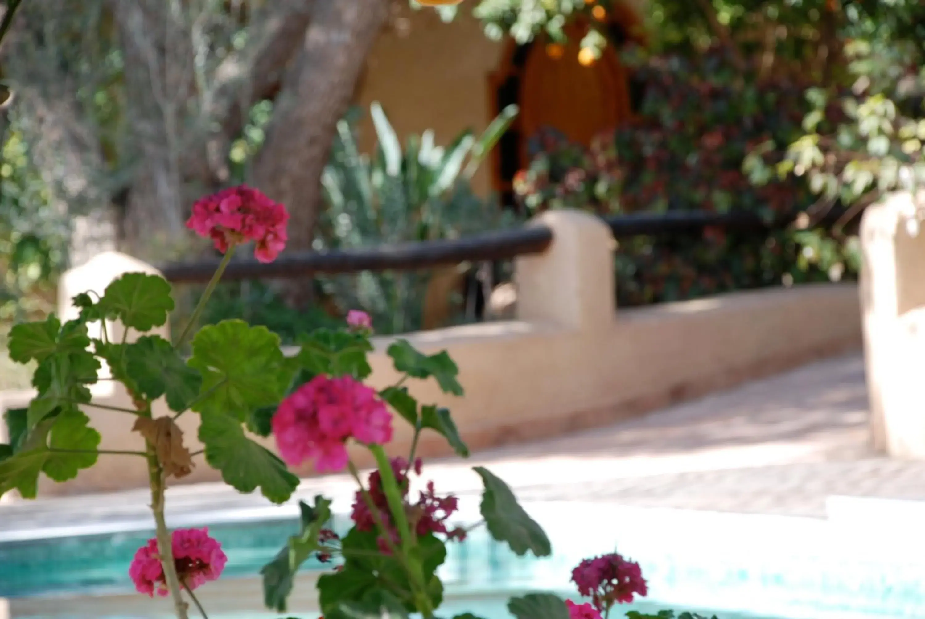 Swimming pool in Hotel Dar Zitoune Taroudant