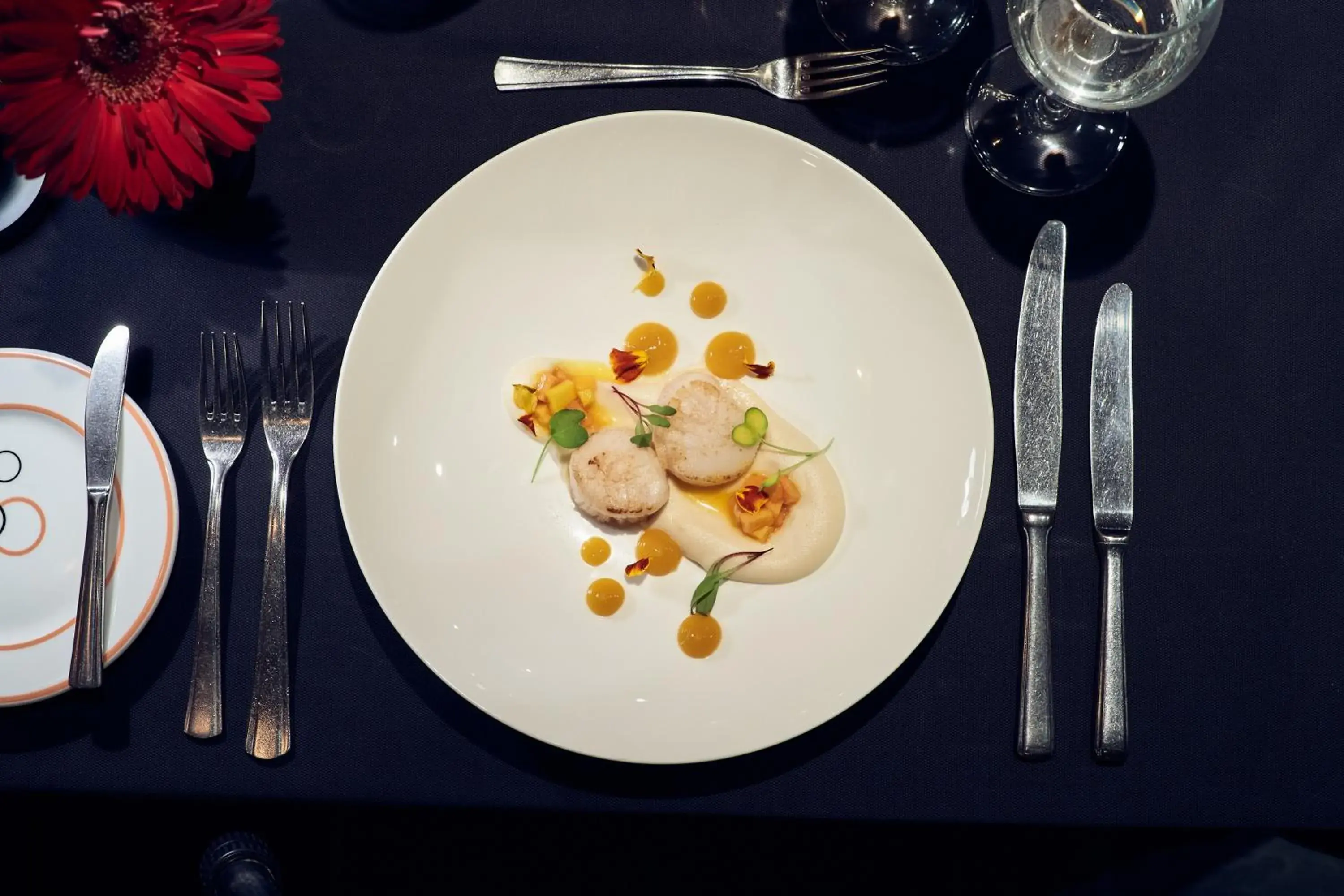 Restaurant/places to eat in Seaside Palm Beach Restaurant/places to eat in Seaside Palm Beach