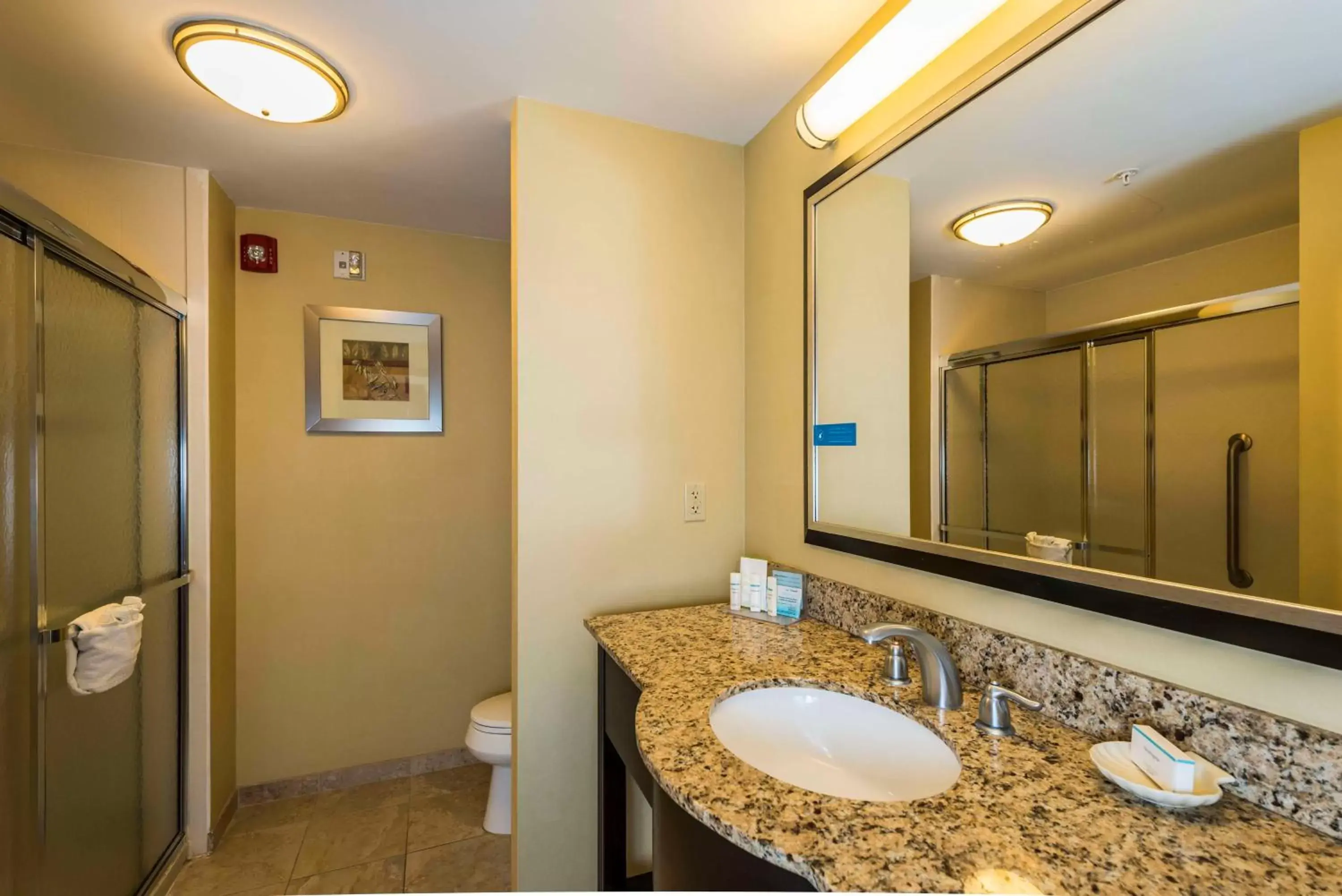 Bathroom in Hampton Inn & Suites Jacksonville South - Bartram Park