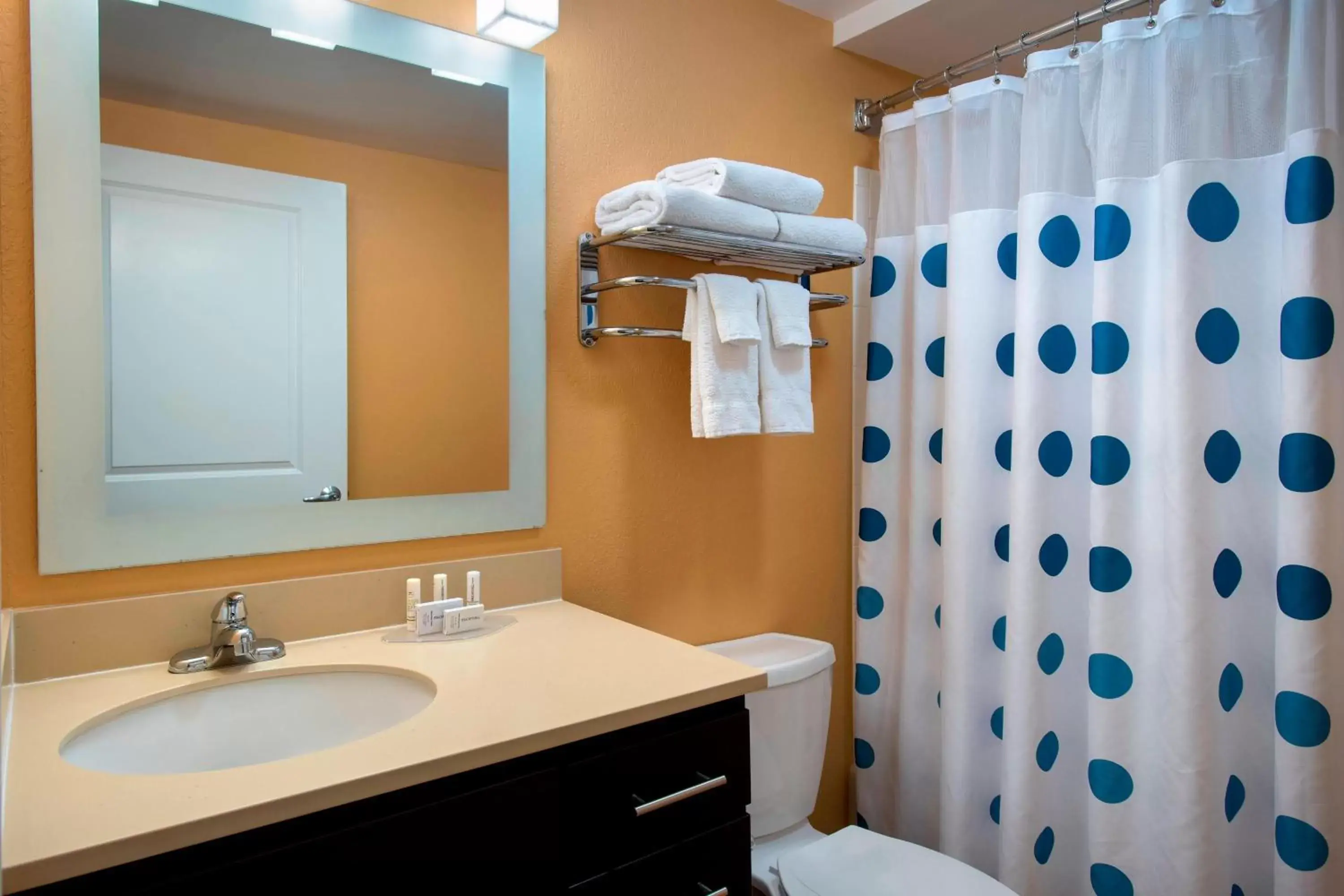 Bathroom in TownePlace Suites Republic Airport Long Island Farmingdale