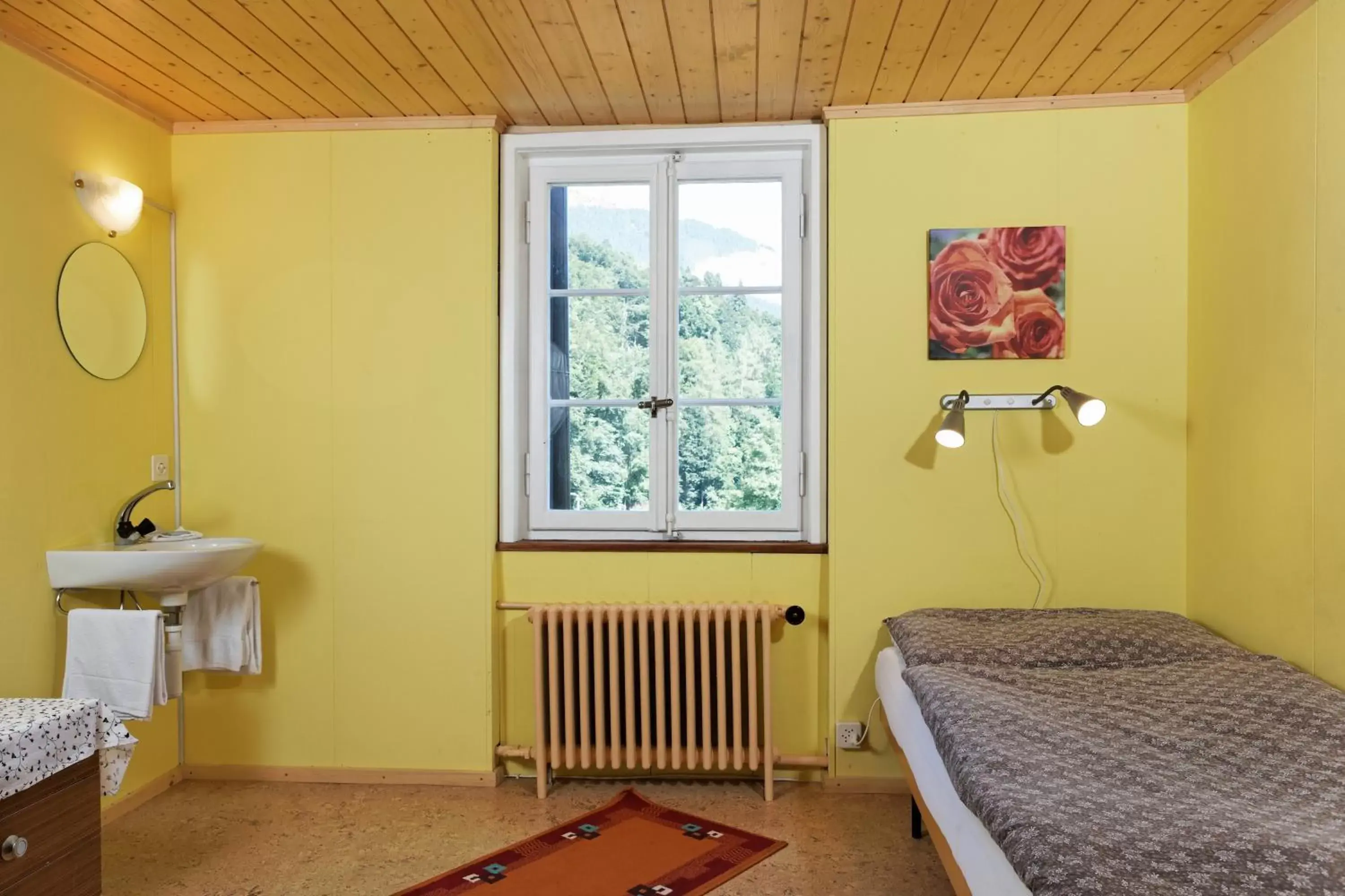 Photo of the whole room, Bathroom in Hotel Steinbock