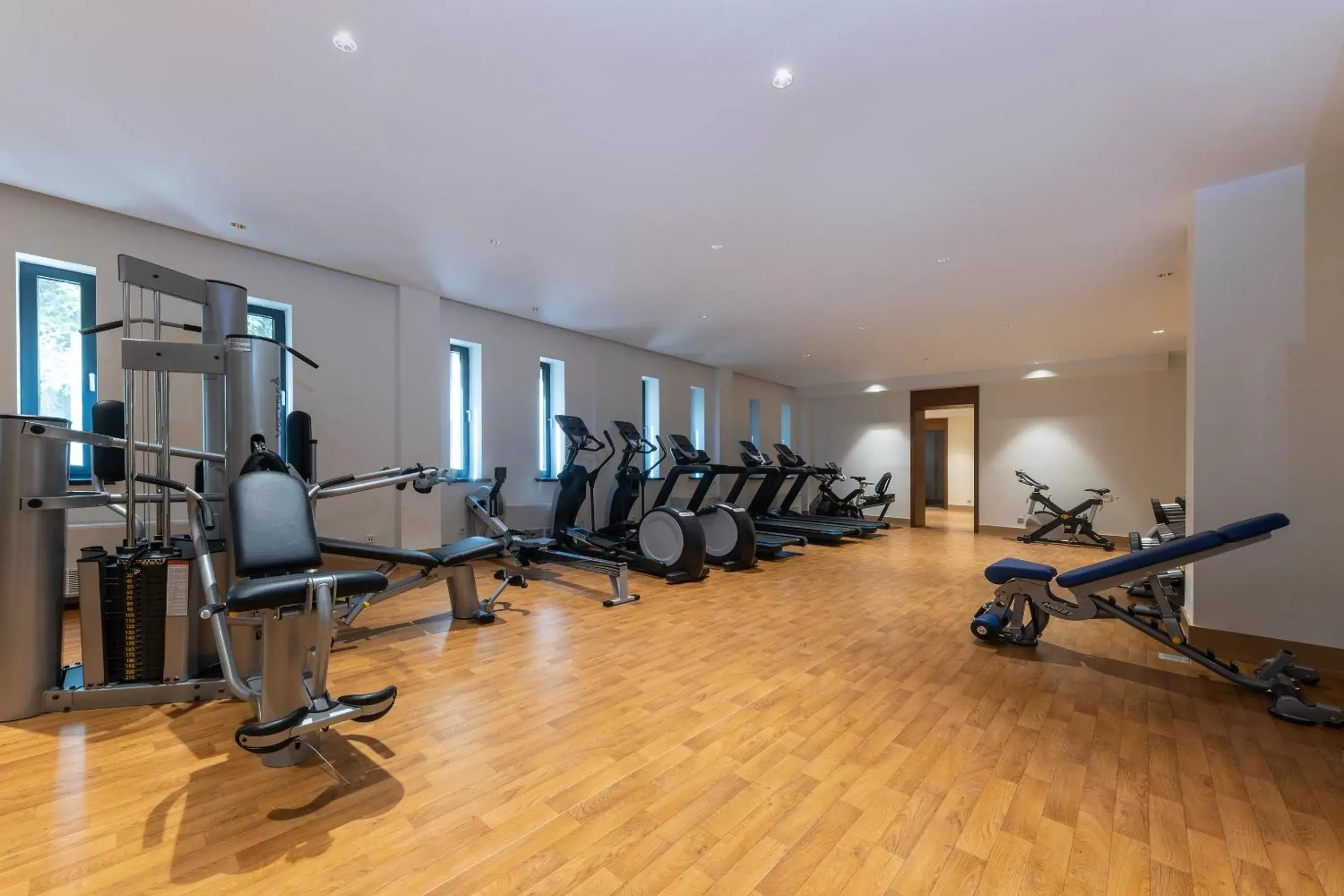 Meeting/conference room, Fitness Center/Facilities in Swissôtel Wellness Resort Alatau Almaty