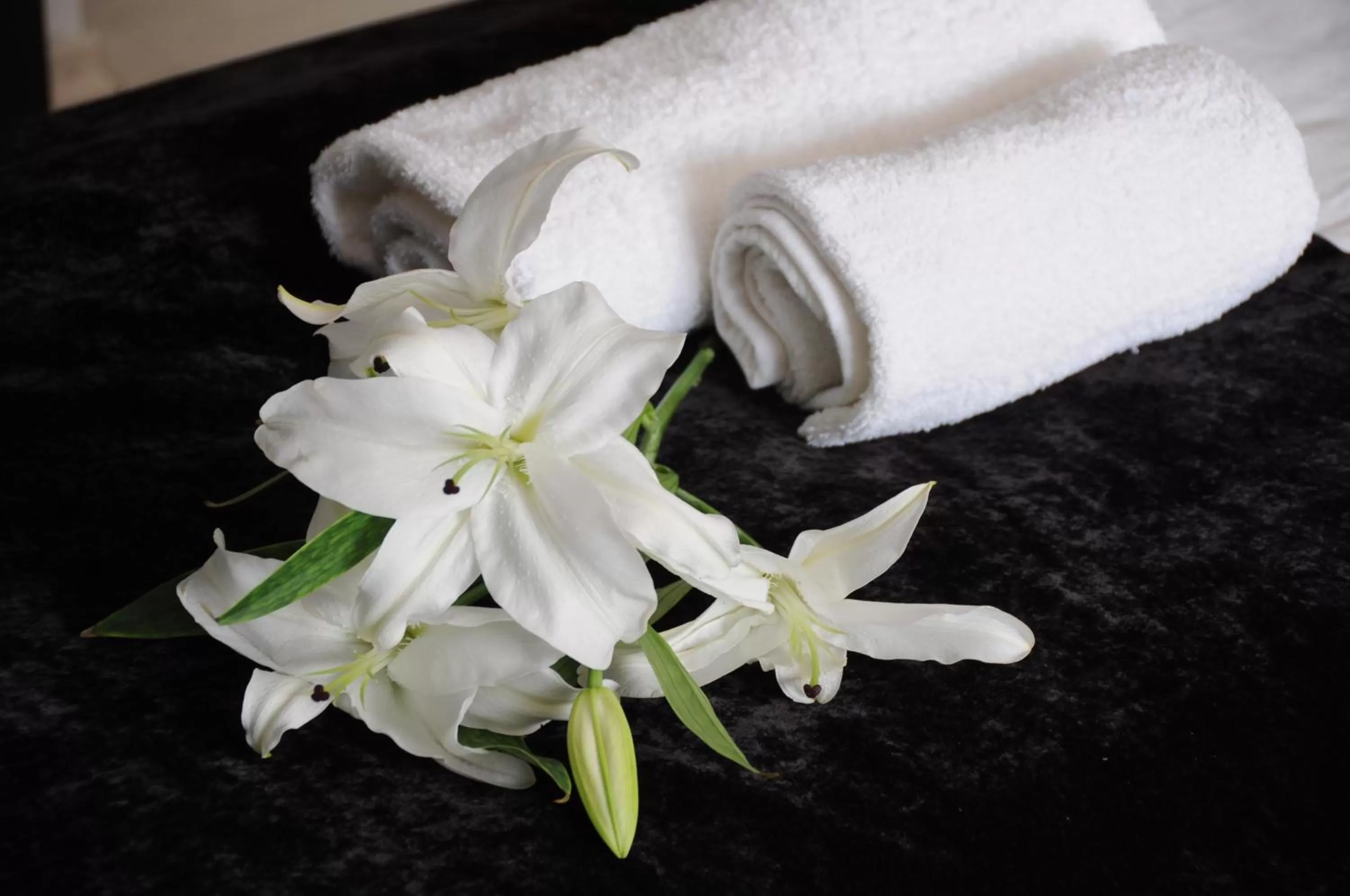 Other in Green Hotel Budapest