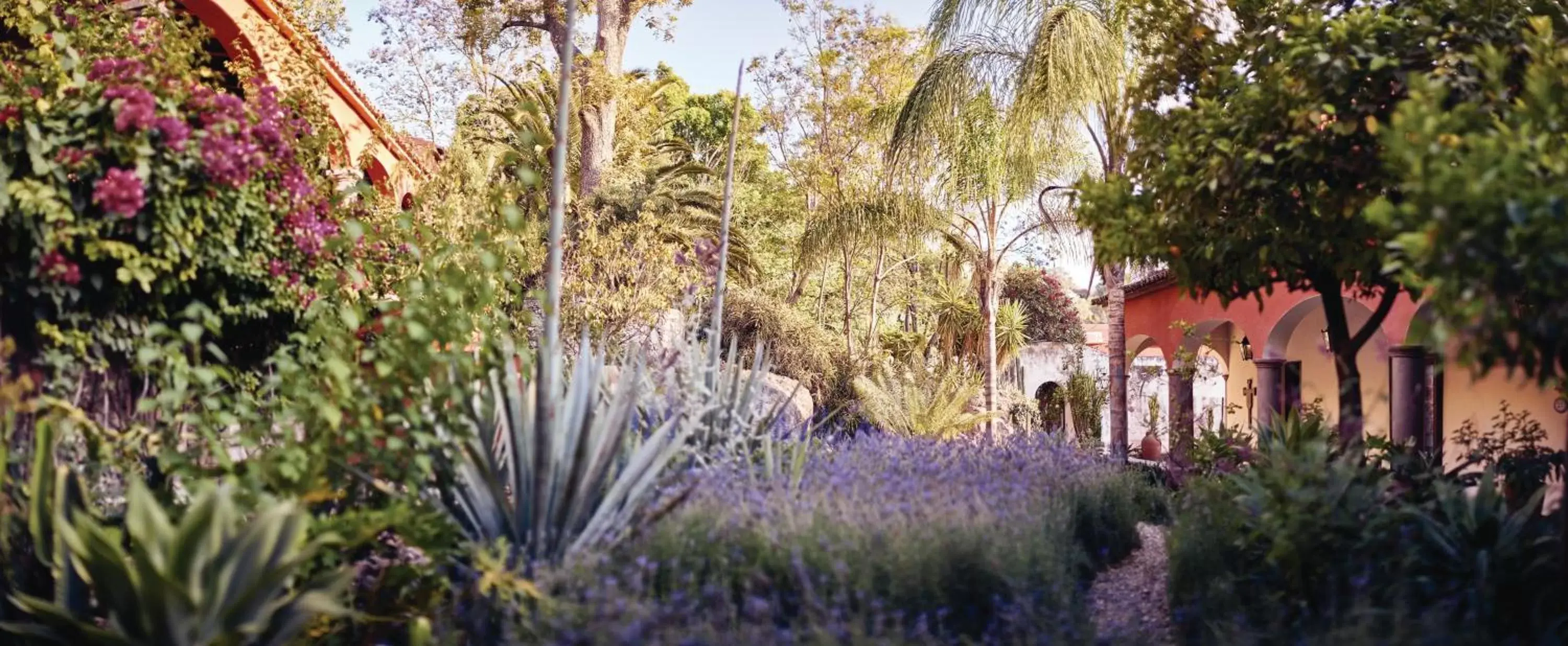 Garden in Casa de Sierra Nevada, A Belmond Hotel, San Miguel de Allende