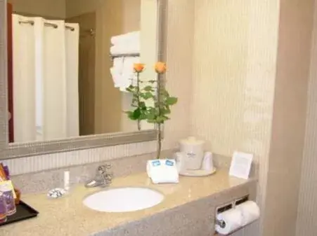 Bathroom in Holiday Inn Express Hotel & Suites Lafayette, an IHG Hotel