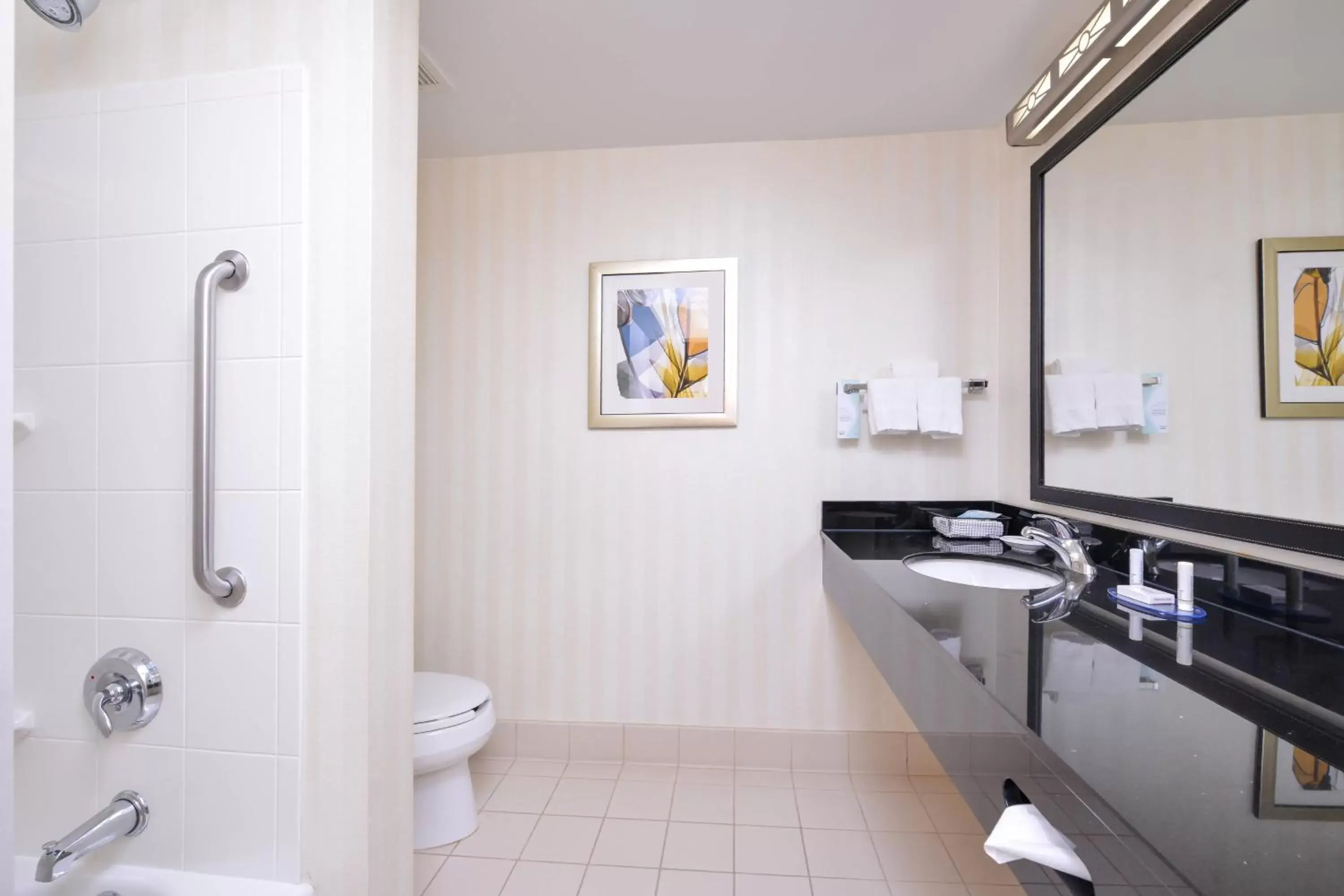 Bathroom in Fairfield Inn & Suites White Marsh