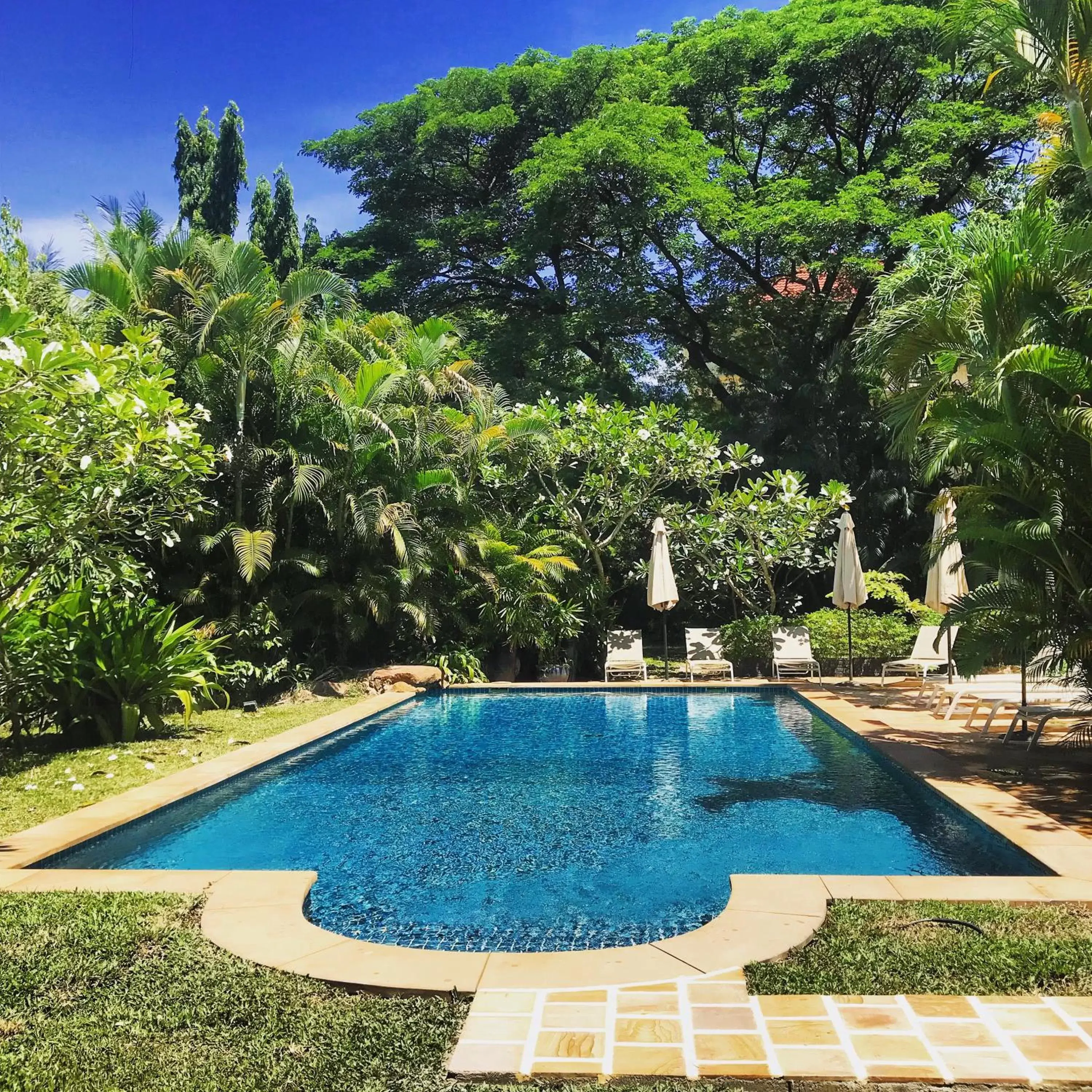 Swimming Pool in La Palmeraie D'angkor