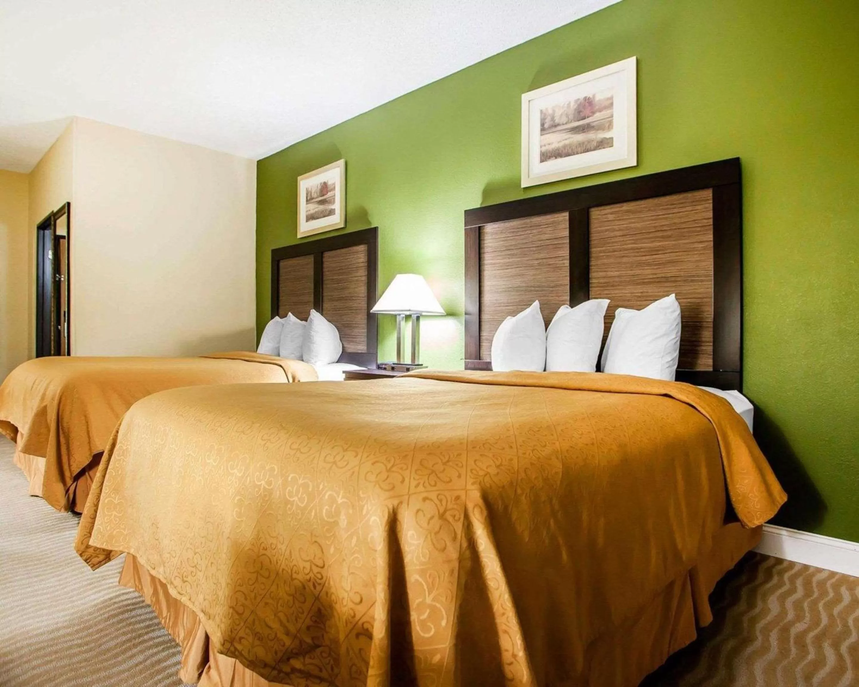 Photo of the whole room, Bed in Quality Inn & Suites Champaign North - Urbana