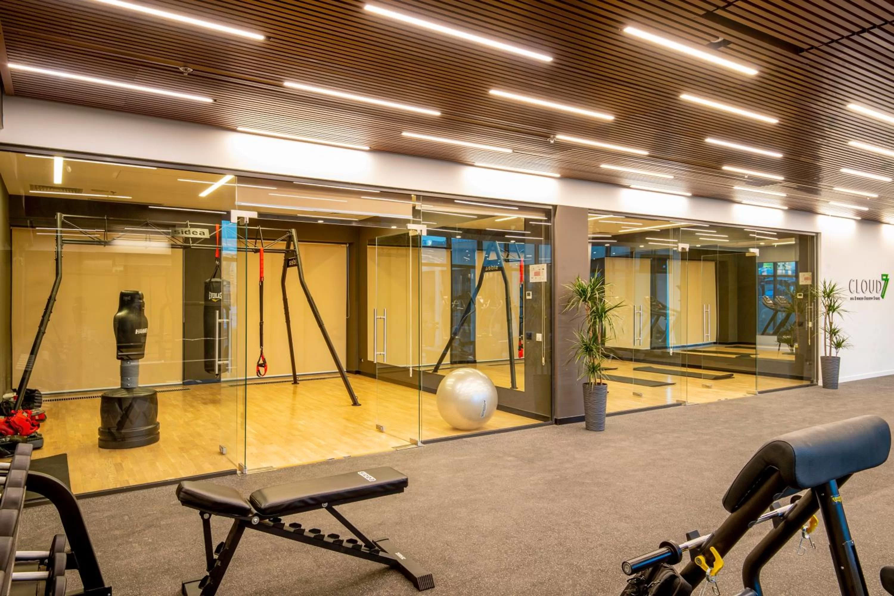 Fitness centre/facilities in Holiday Inn Yerevan - Republic Square by IHG