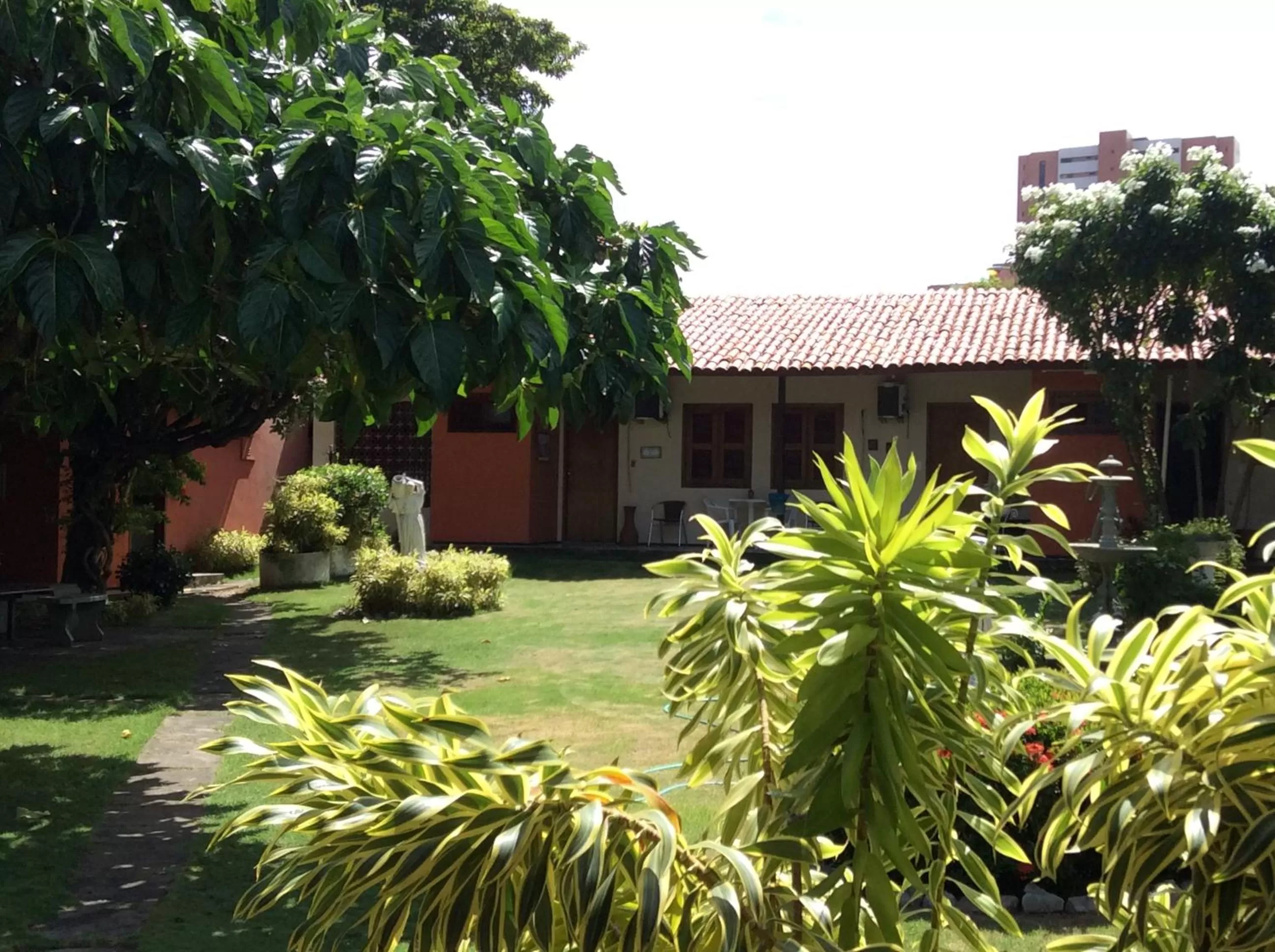 Garden view, Property Building in Hotel Jardim