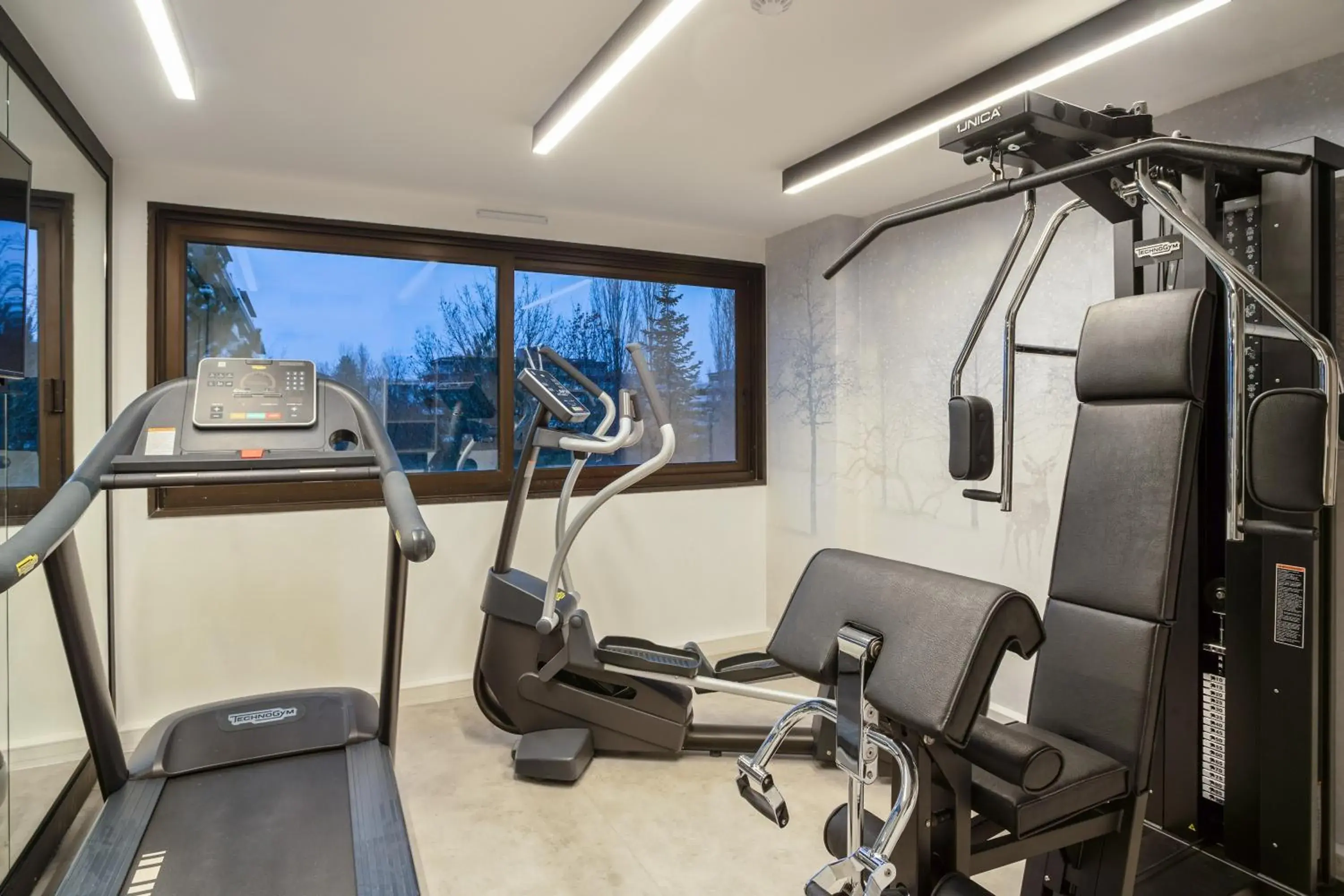 Fitness centre/facilities, Fitness Center/Facilities in Park & Suites Elégance Genève-Ferney Voltaire