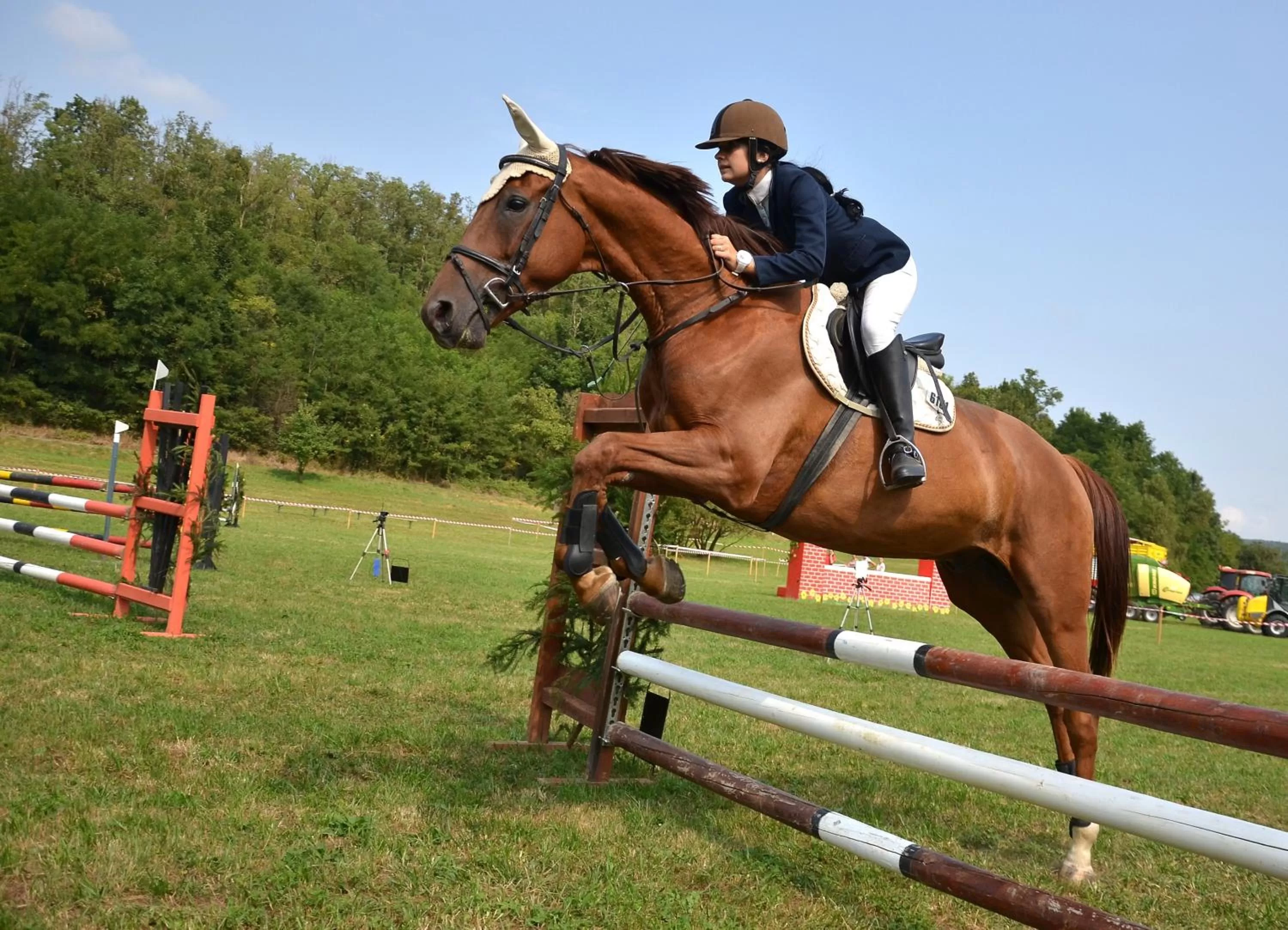 Horse-riding in Residenza D'epoca Il Biribino