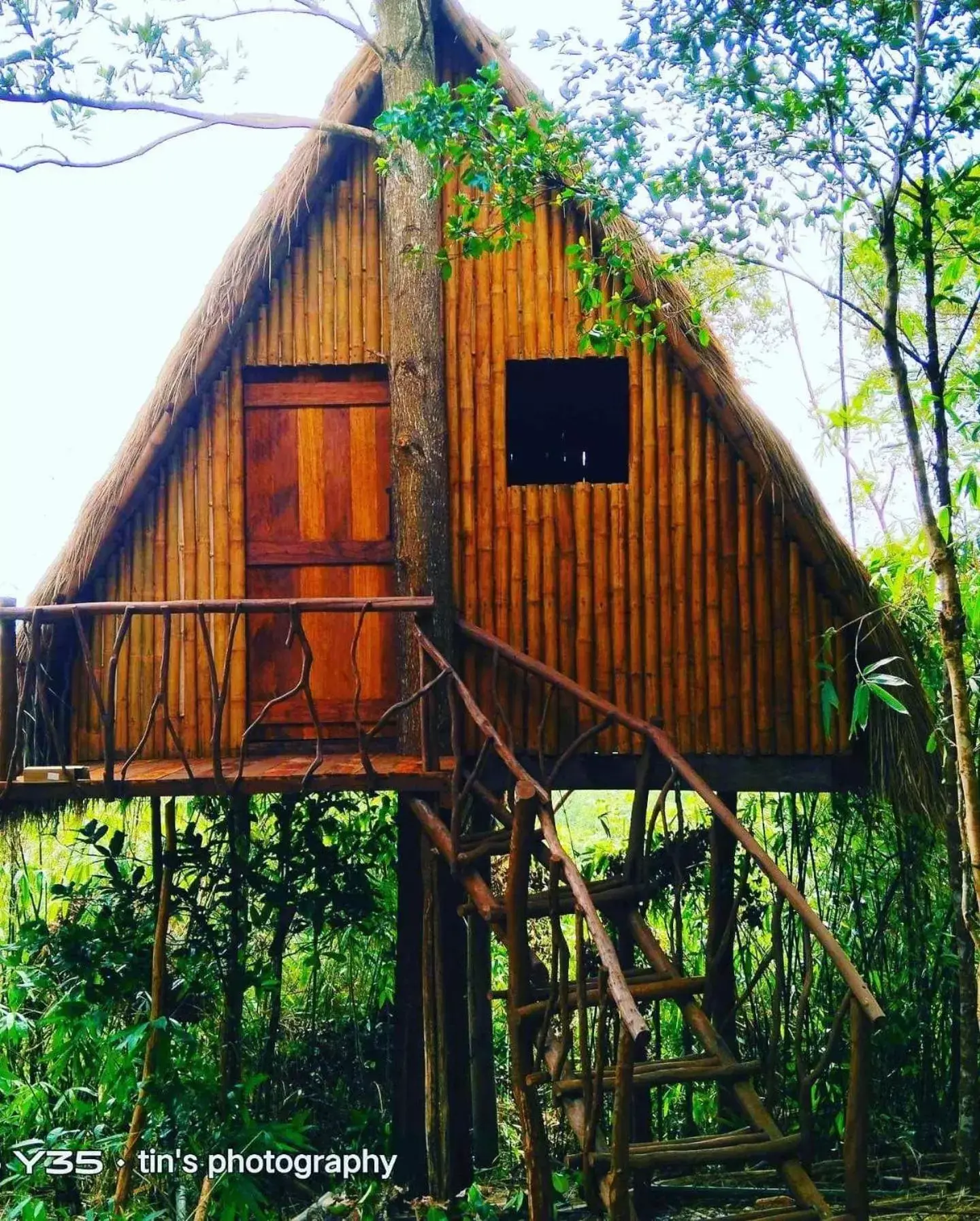 Property Building in Sanctuaria Treehouses Busuanga