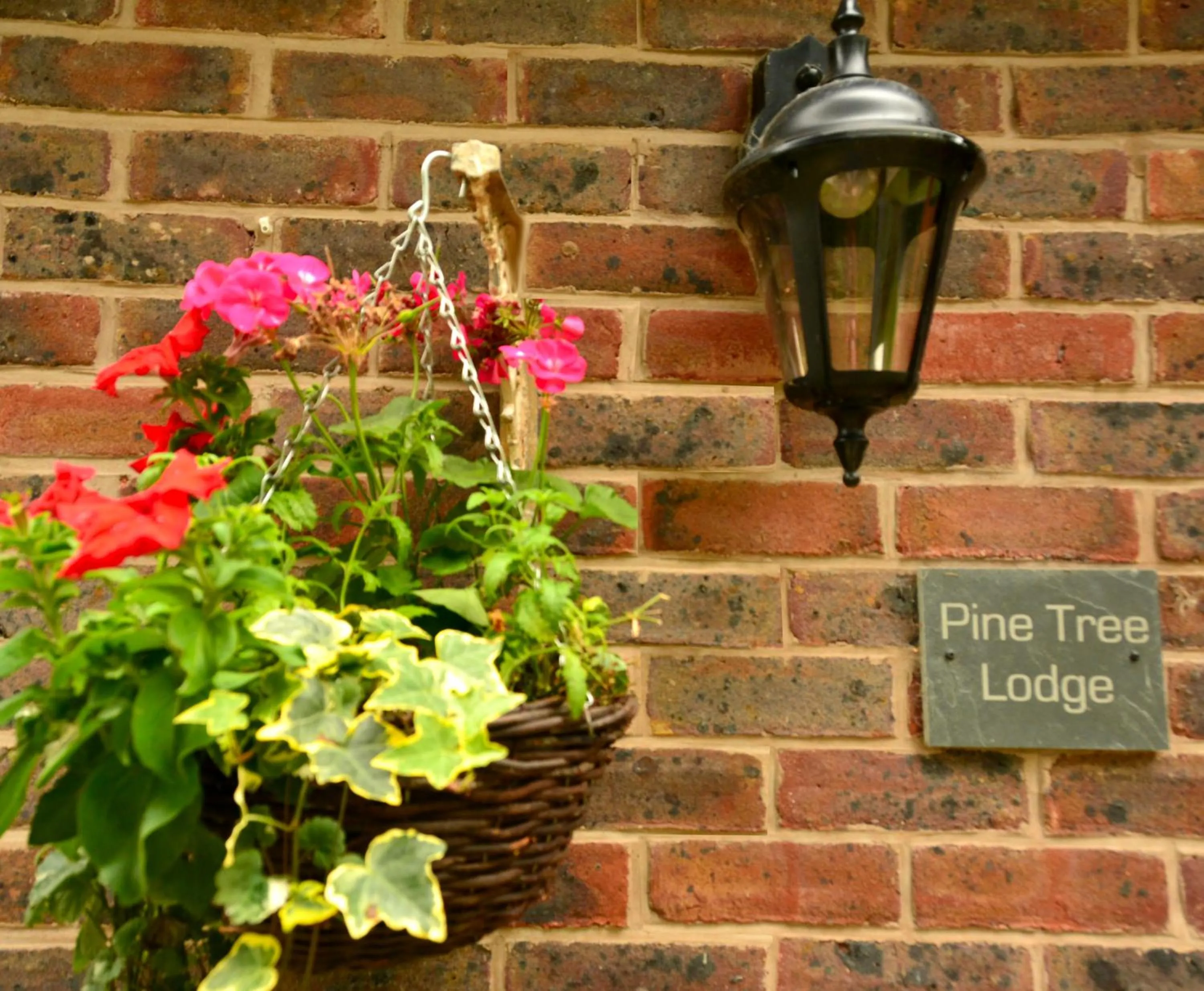 Property logo or sign in Pine Tree Lodge, Bridgnorth