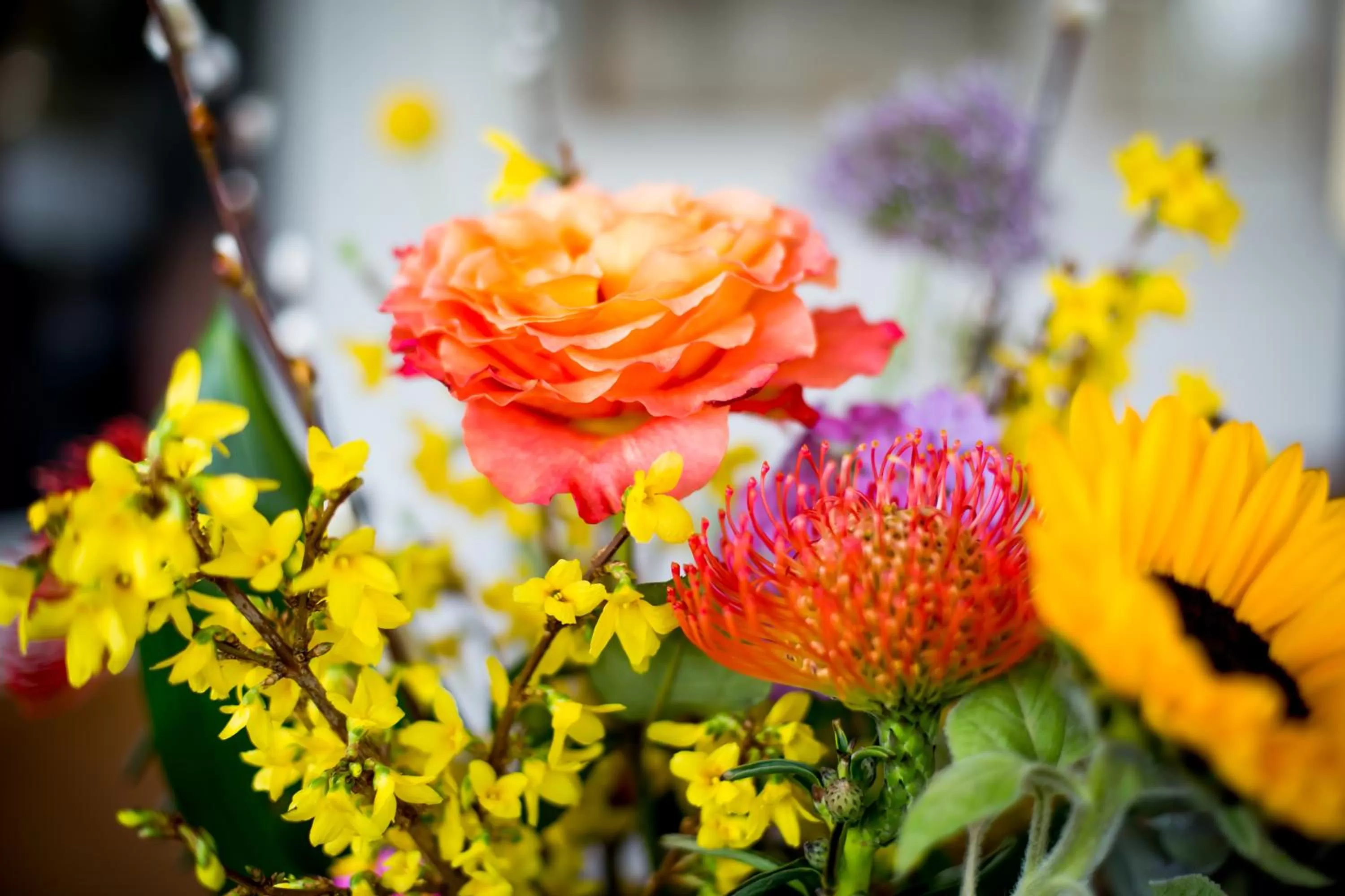 Decorative detail in Logement aan de Vecht