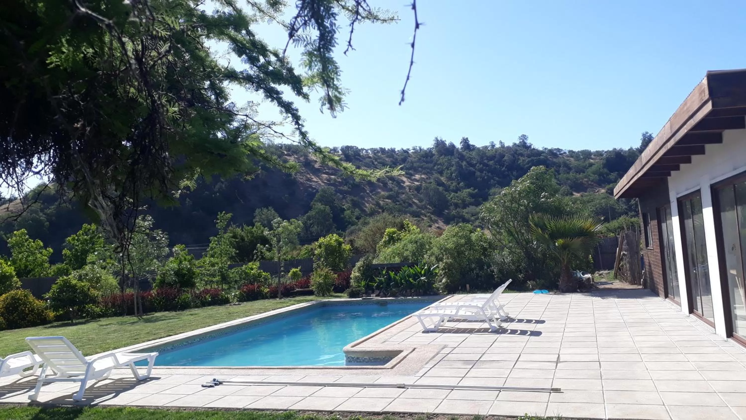 Garden view in Callihue Lodge