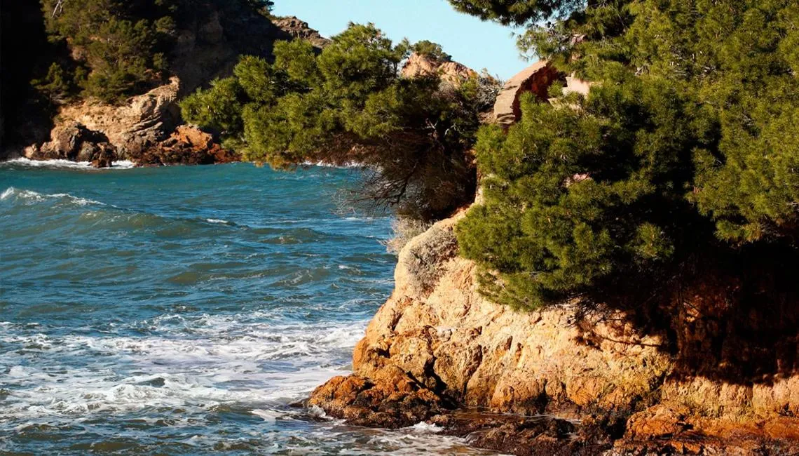 Natural landscape in Hostal Ses Negres