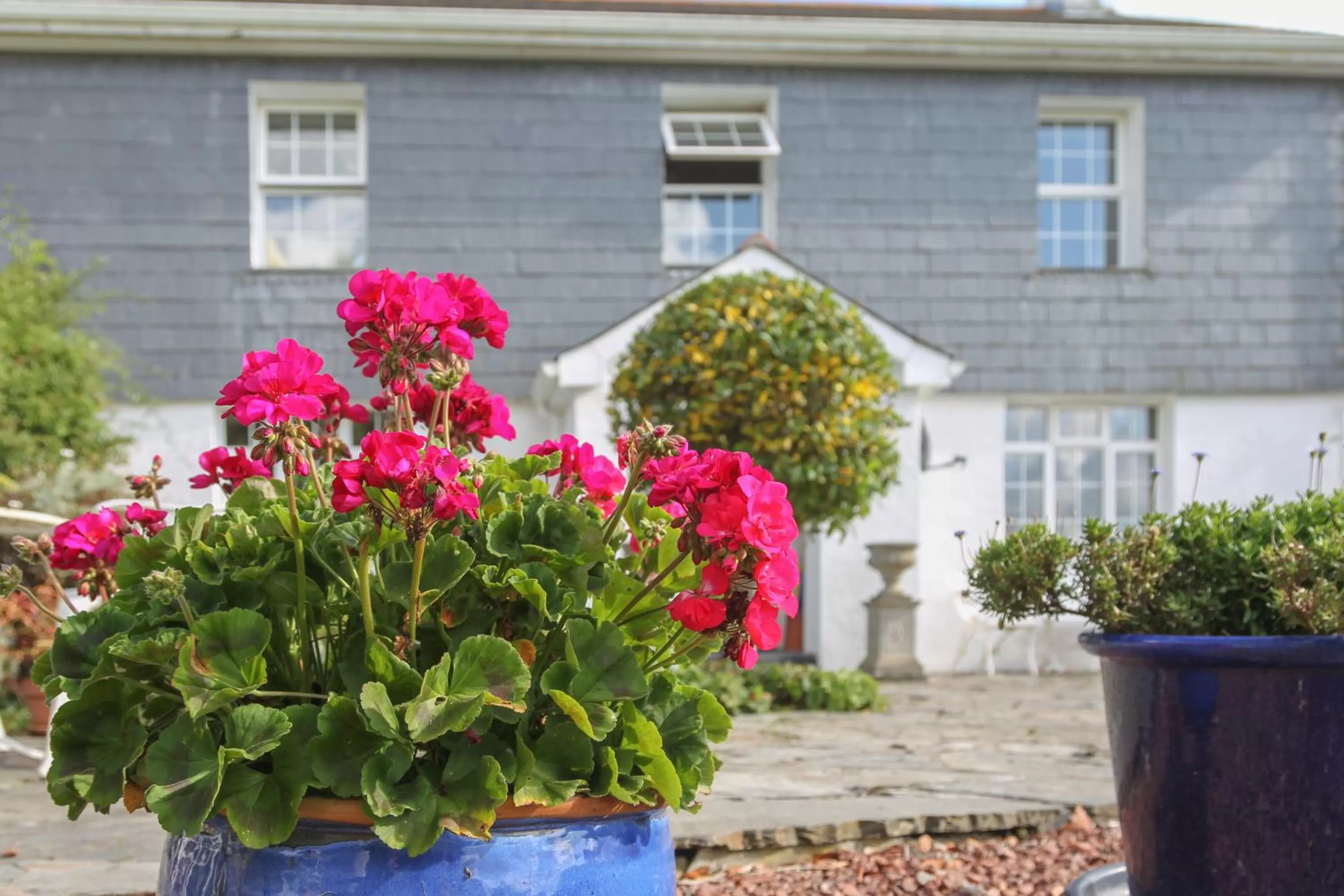 Facade/entrance in Treweens