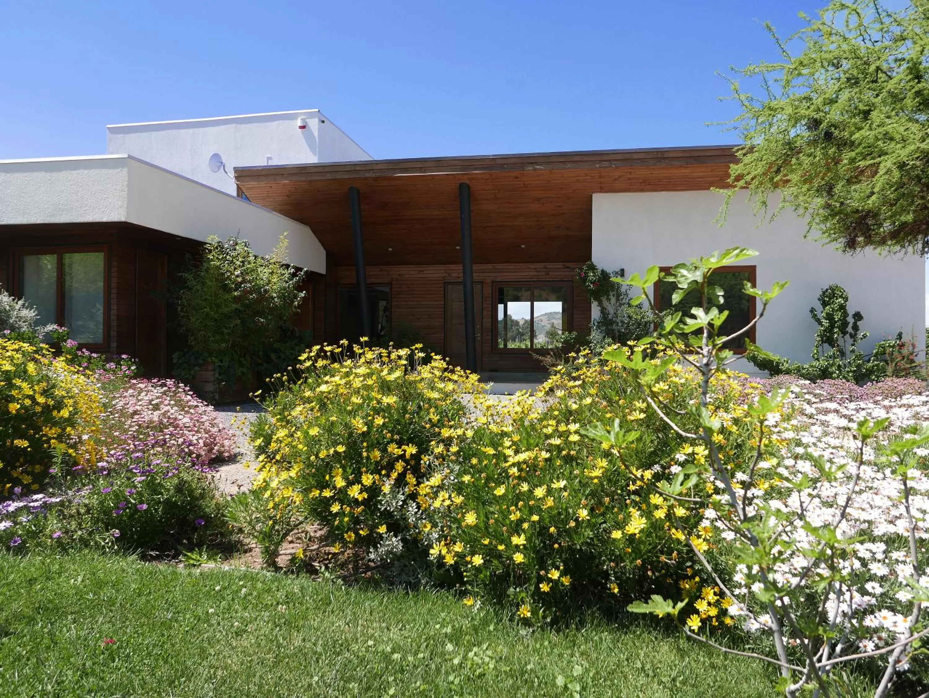 Property building in Callihue Lodge