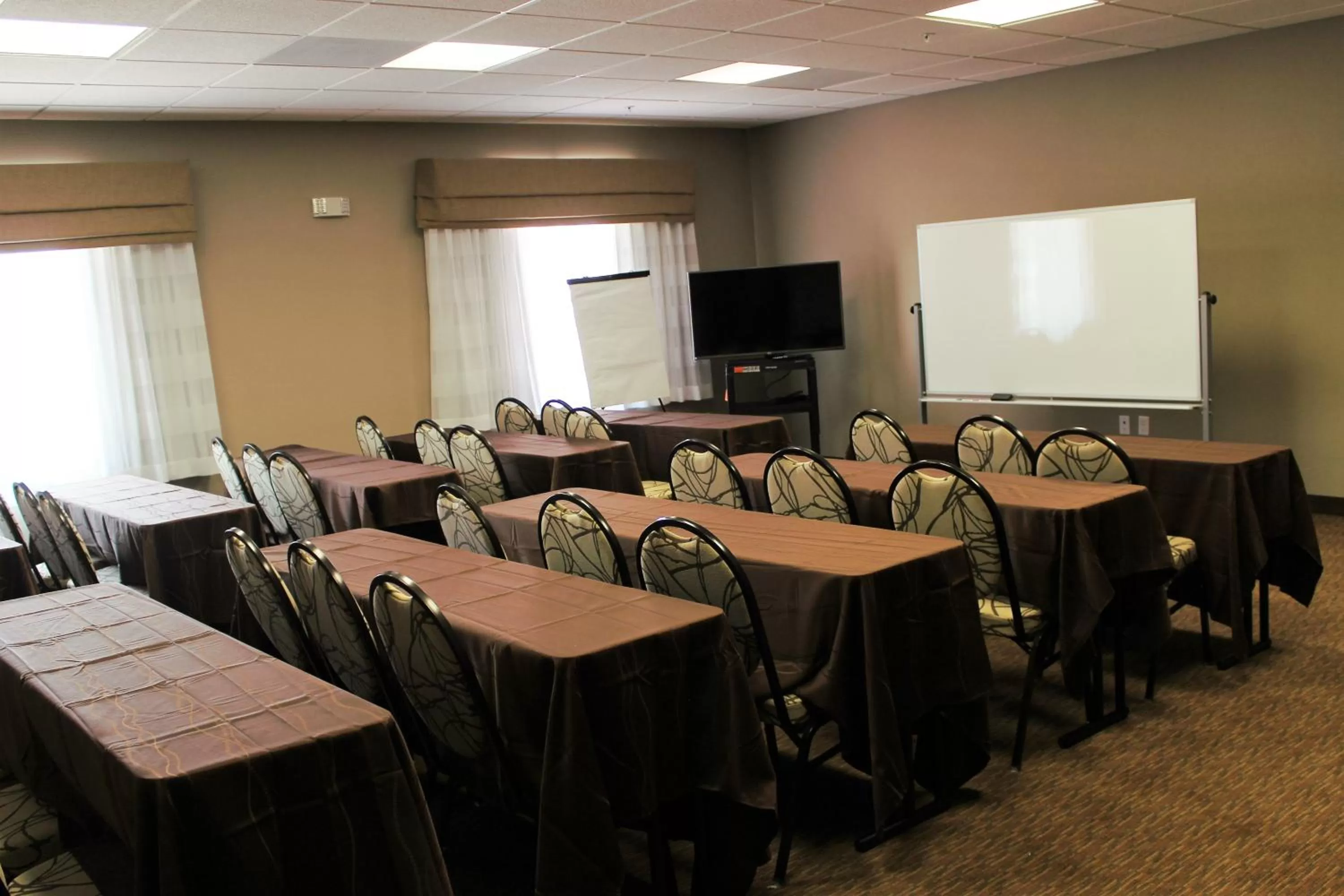 Area and facilities in Sleep Inn & Suites Odessa near University