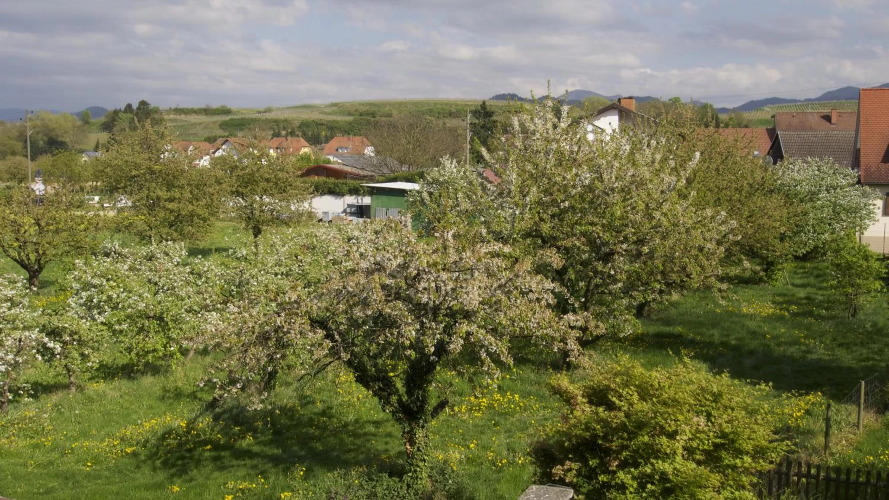 Garden in zum Schwanen Garni