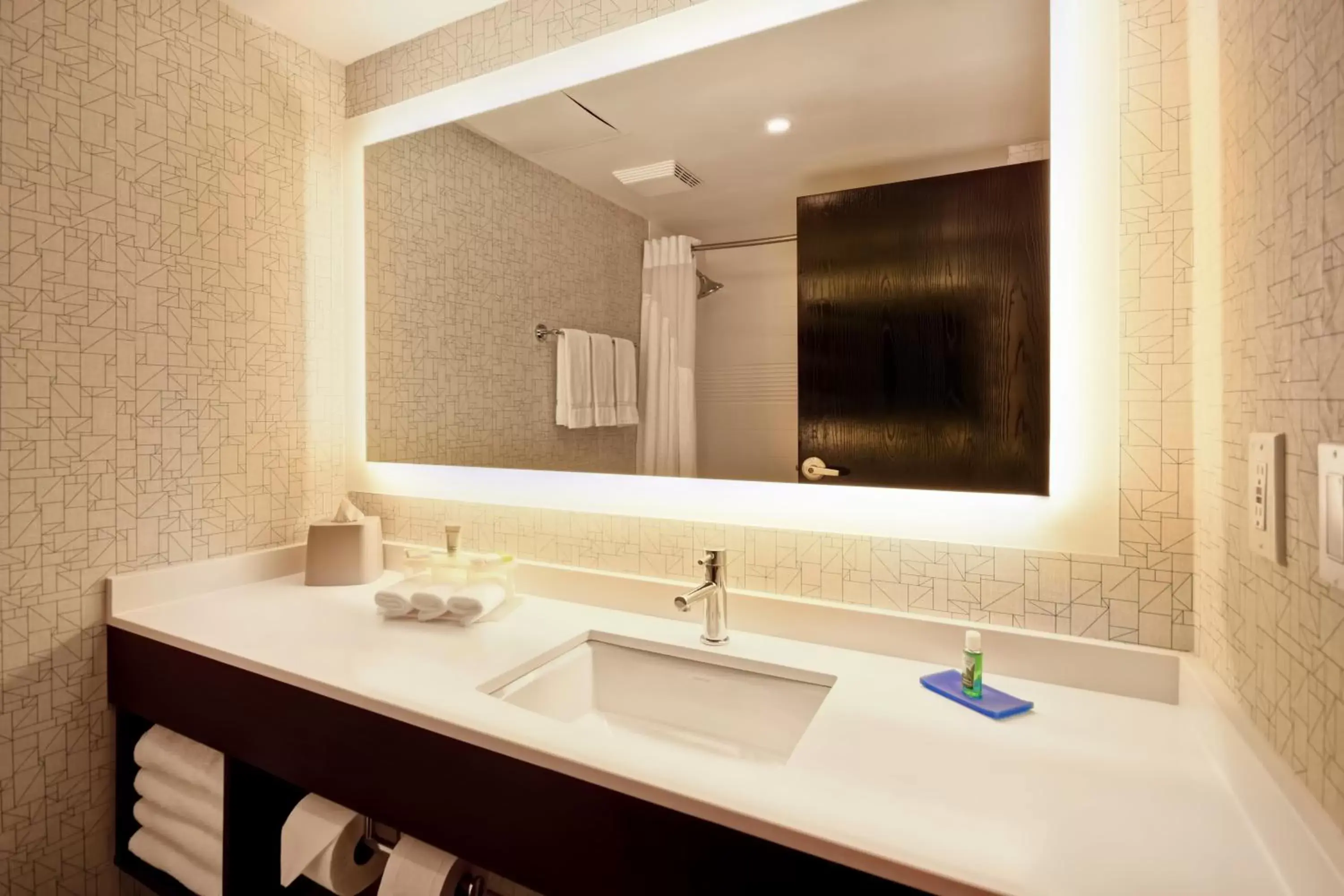 Bathroom in Holiday Inn Express & Suites Allentown-Dorney Park Area, an IHG Hotel