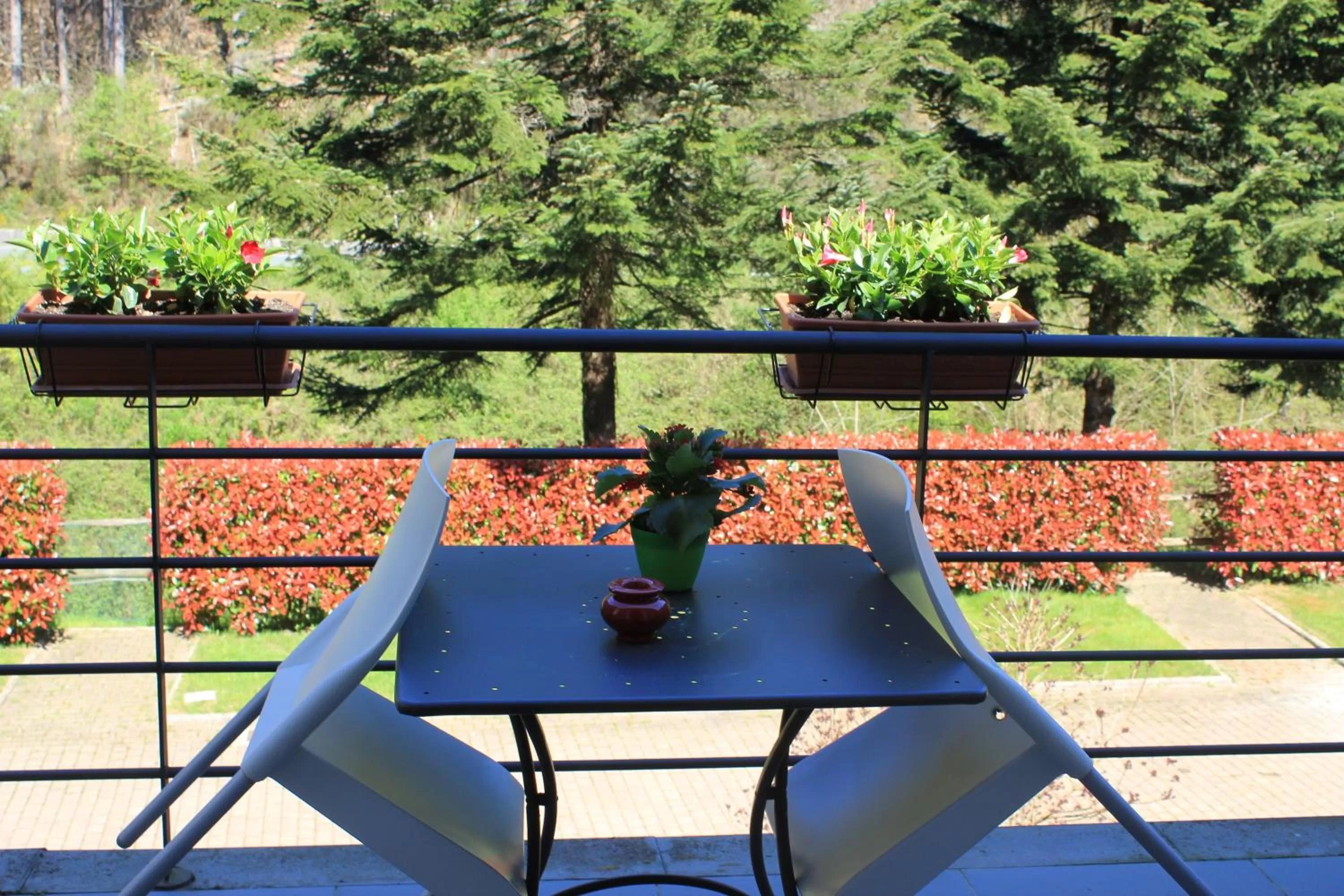 Day in Hotel Abetaia