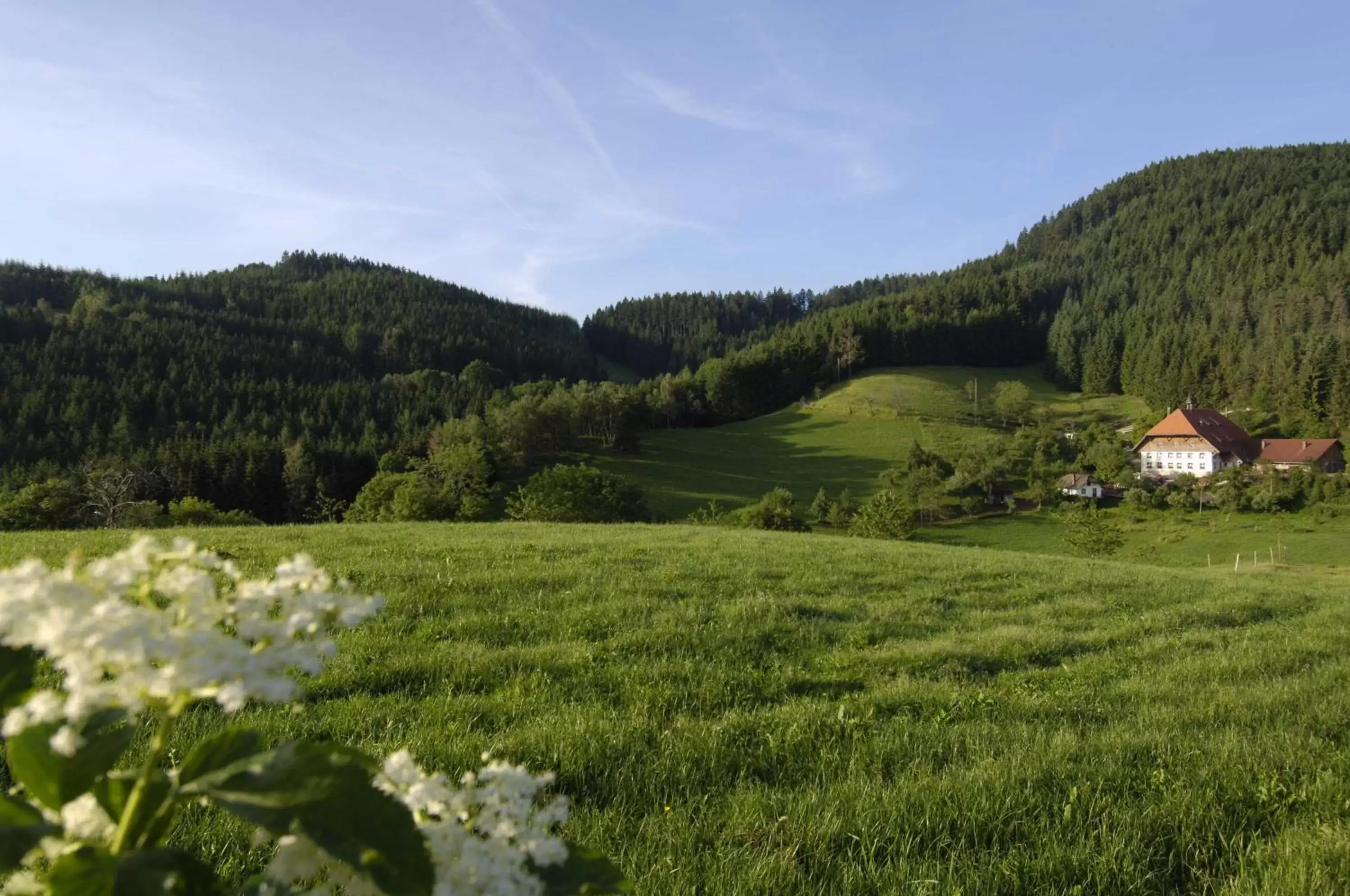 Hiking, Natural Landscape in Best Western Plus Schwarzwald Residenz