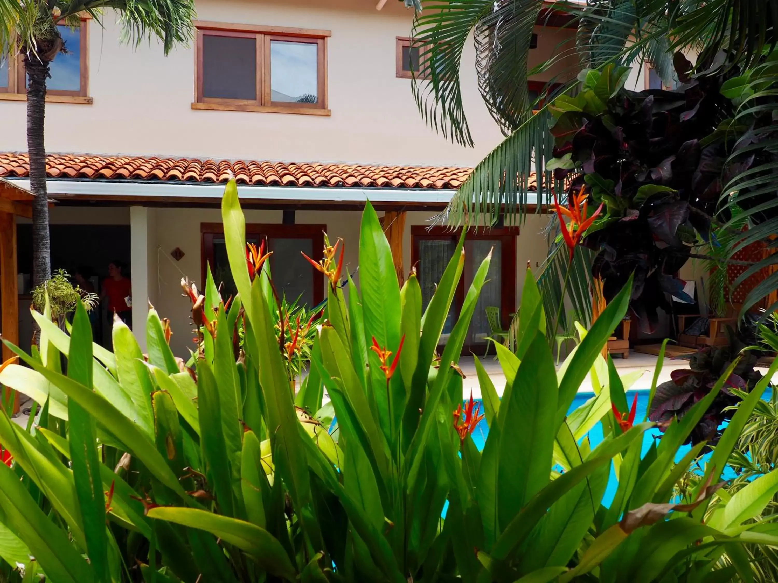 Other, Property Building in Ten North Tamarindo Beach Hotel