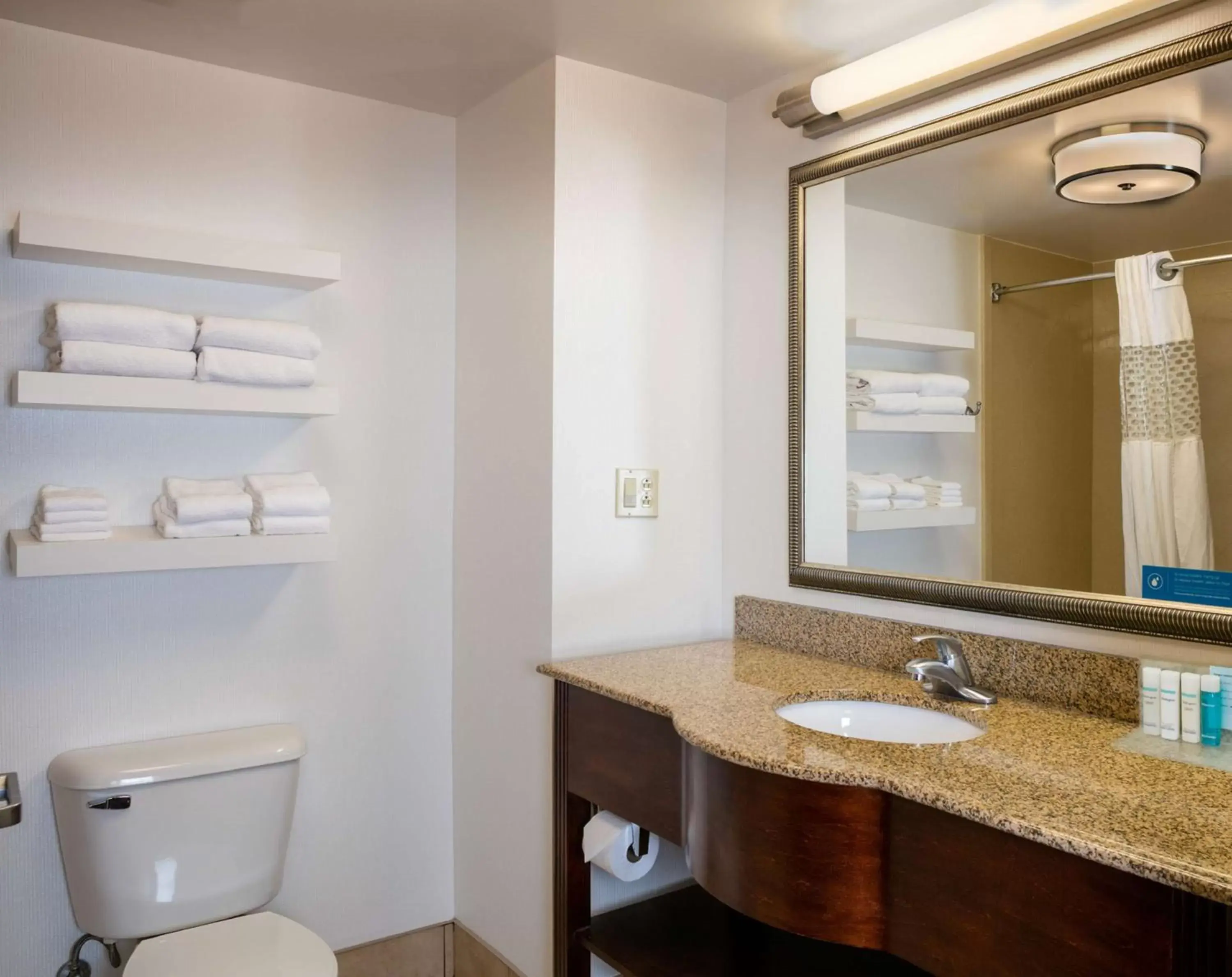 Bathroom in Hampton Inn & Suites Toledo-Perrysburg