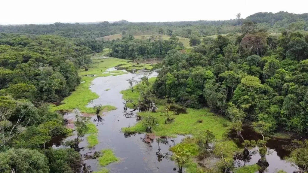 Bird's eye view, Bird's-eye View in Iguanitas Lodge