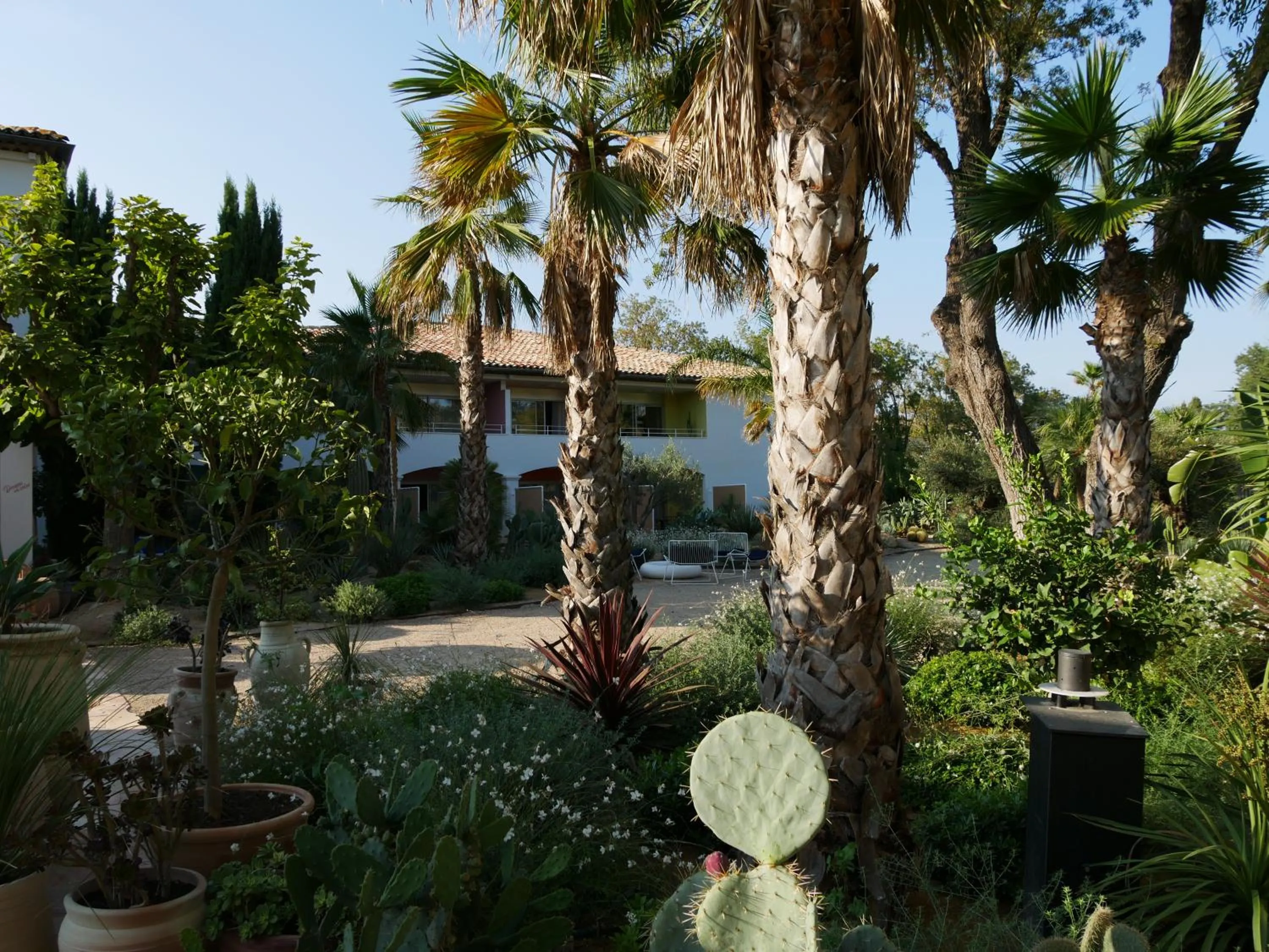 Garden in Hotel Casarose - Cannes Mandelieu