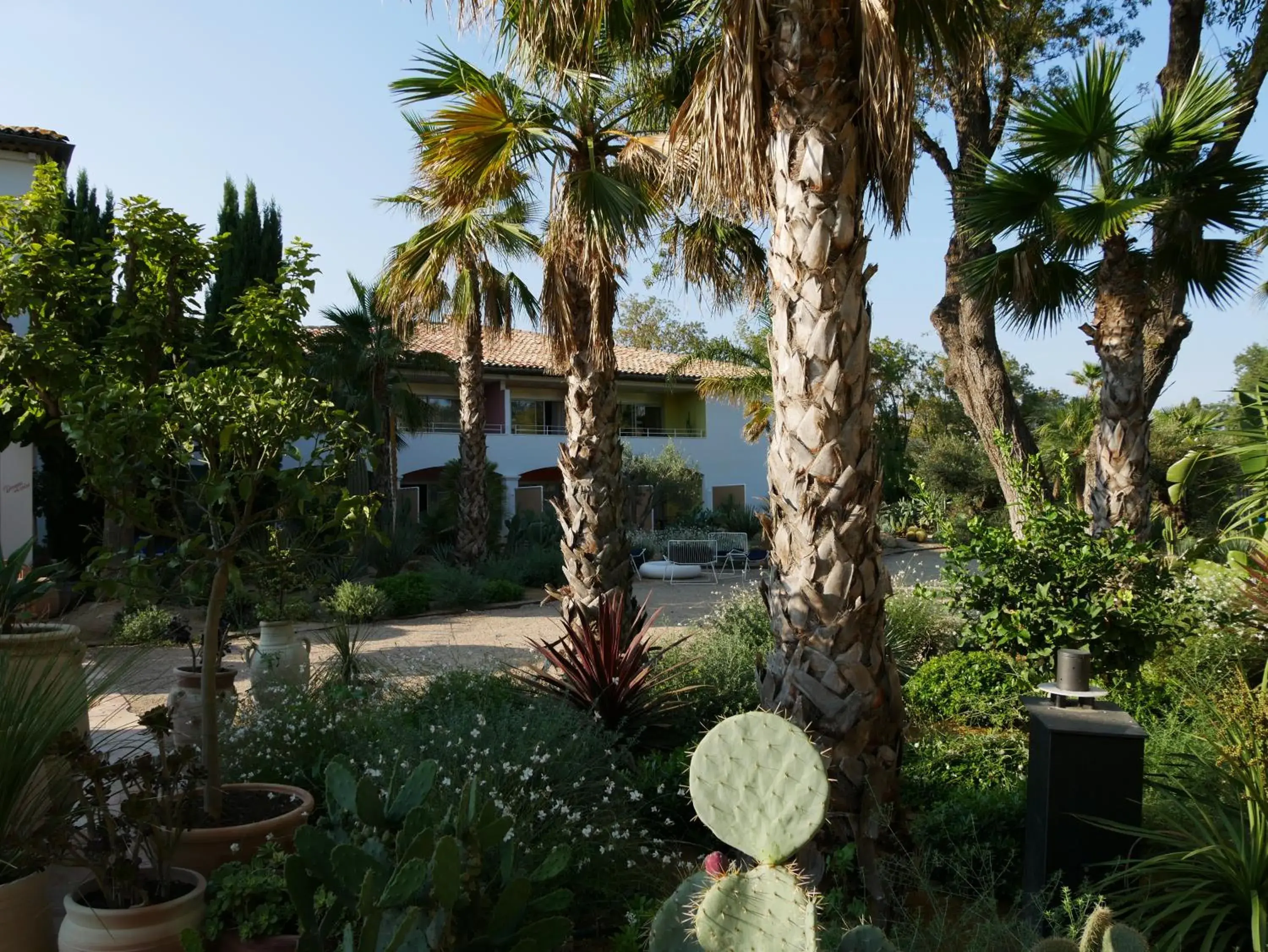 Garden in Hotel Casarose