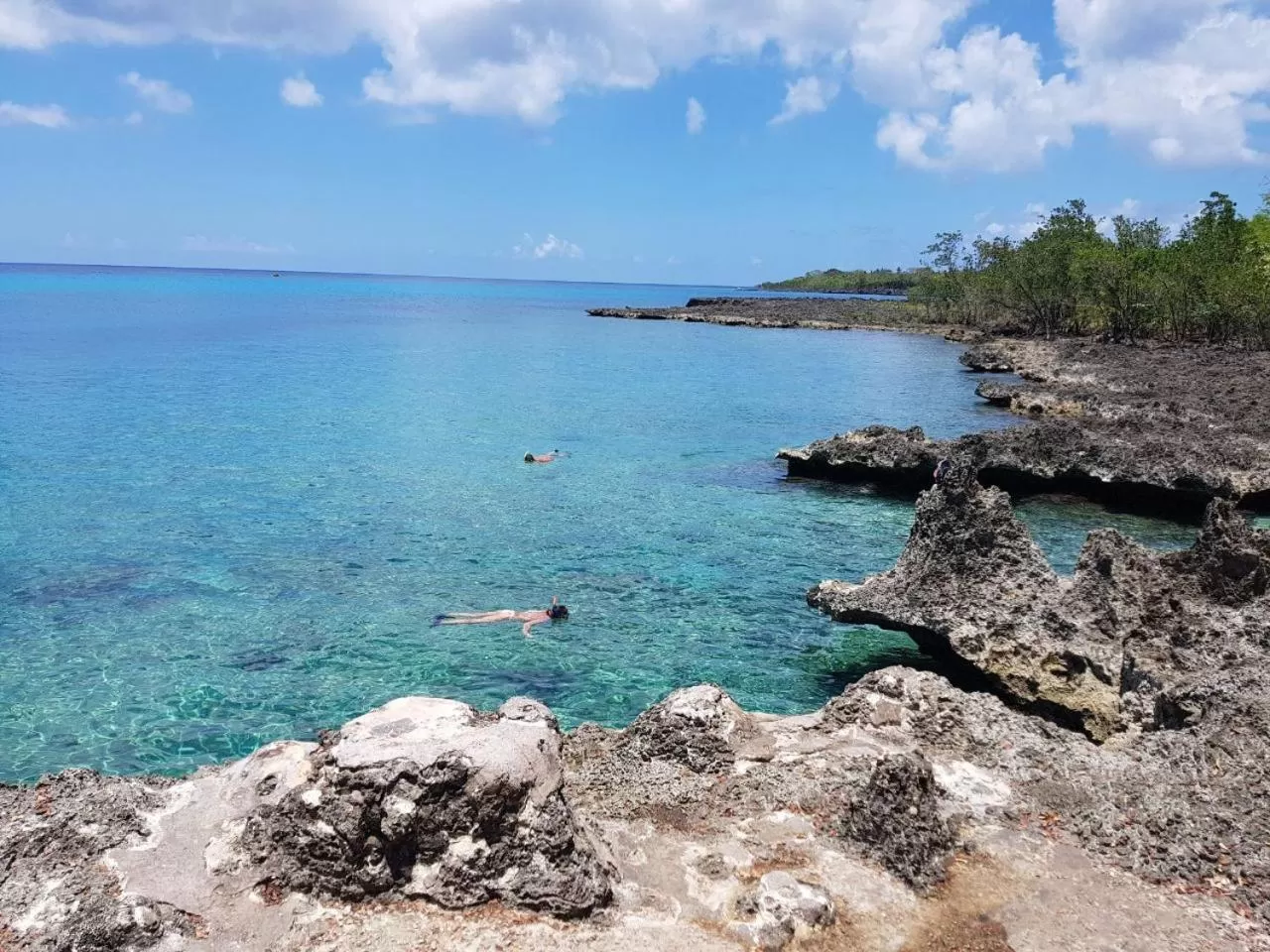 Snorkeling in Coral House San Andres