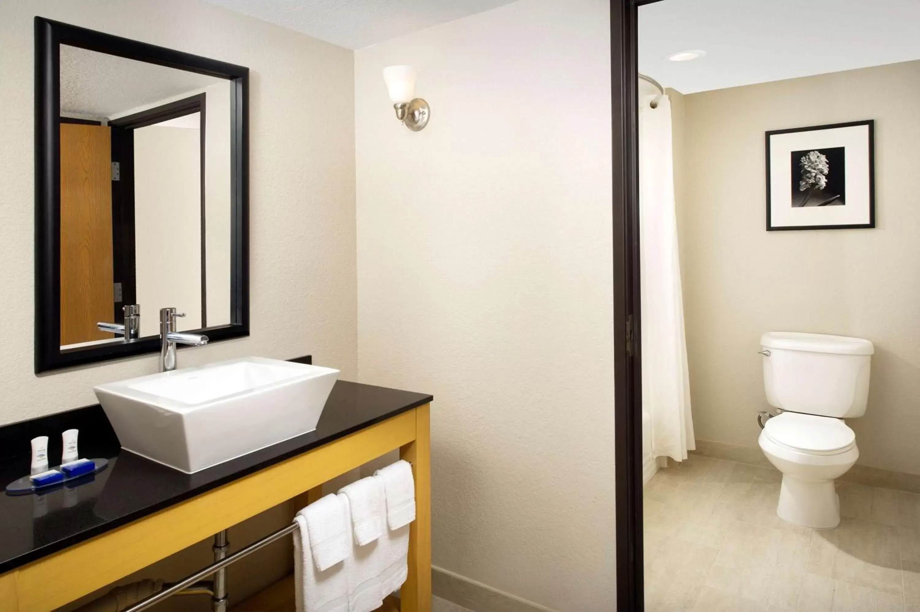 Photo of the whole room, Bathroom in Best Western Alamo Suites Downtown