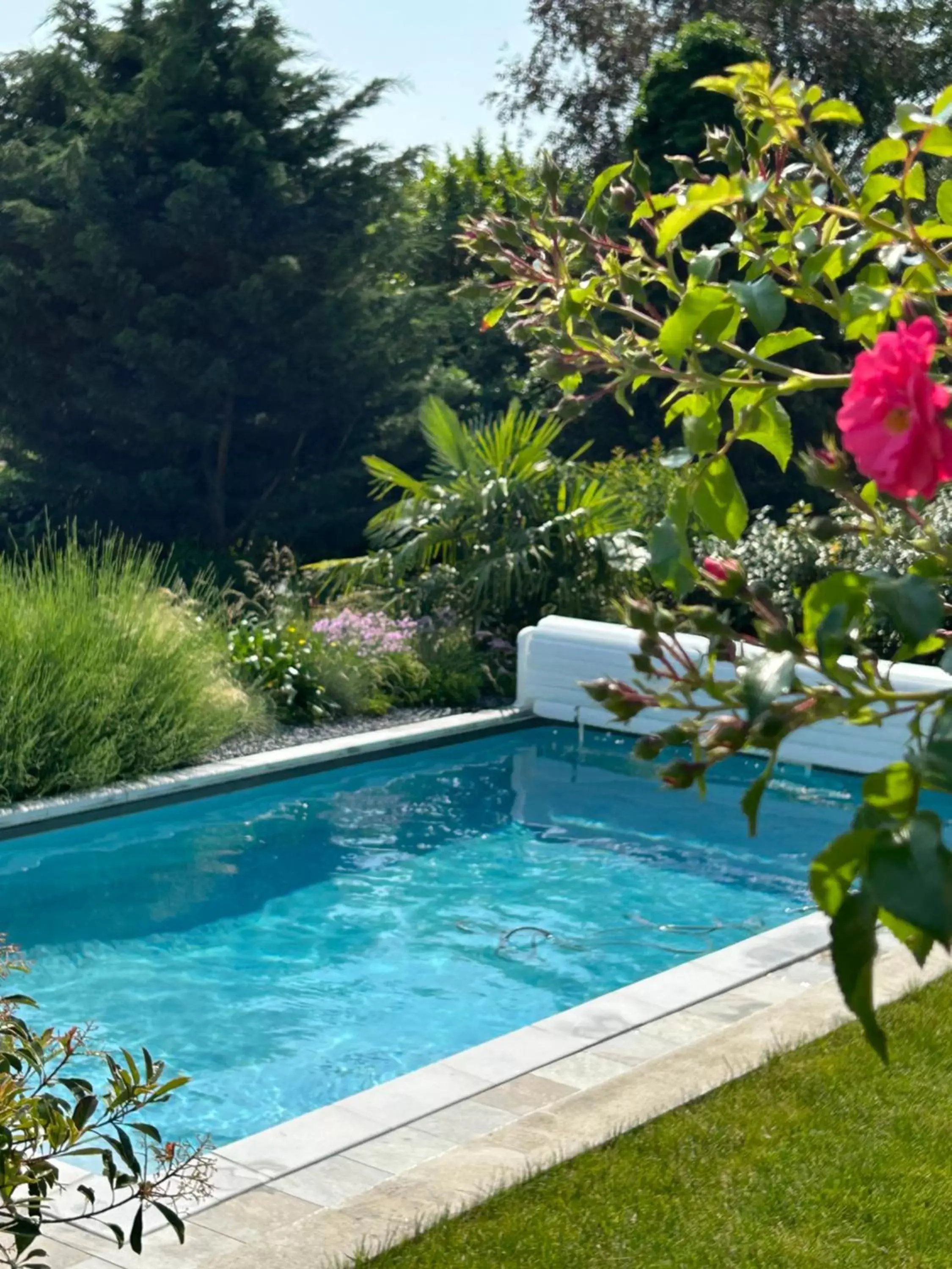 Swimming Pool in La Glycine B&B