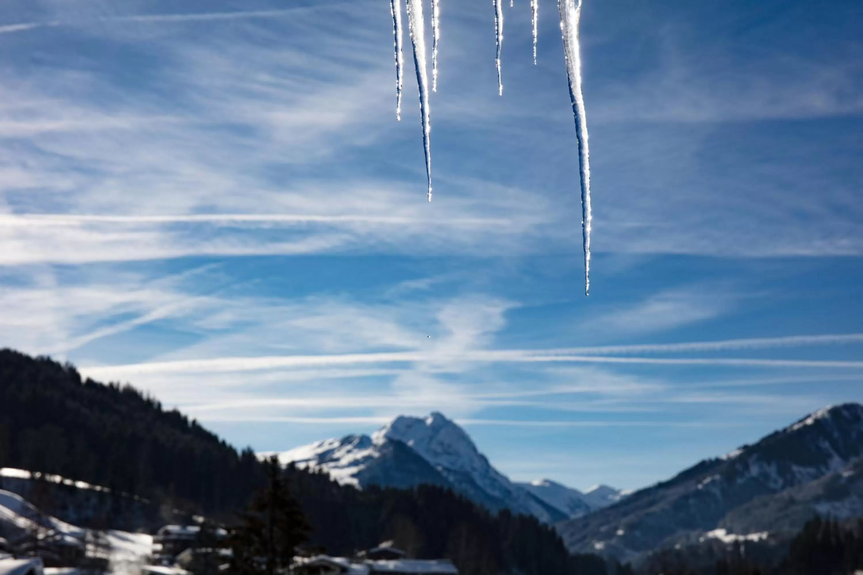 Hiking in Hotel Garni Wieshof