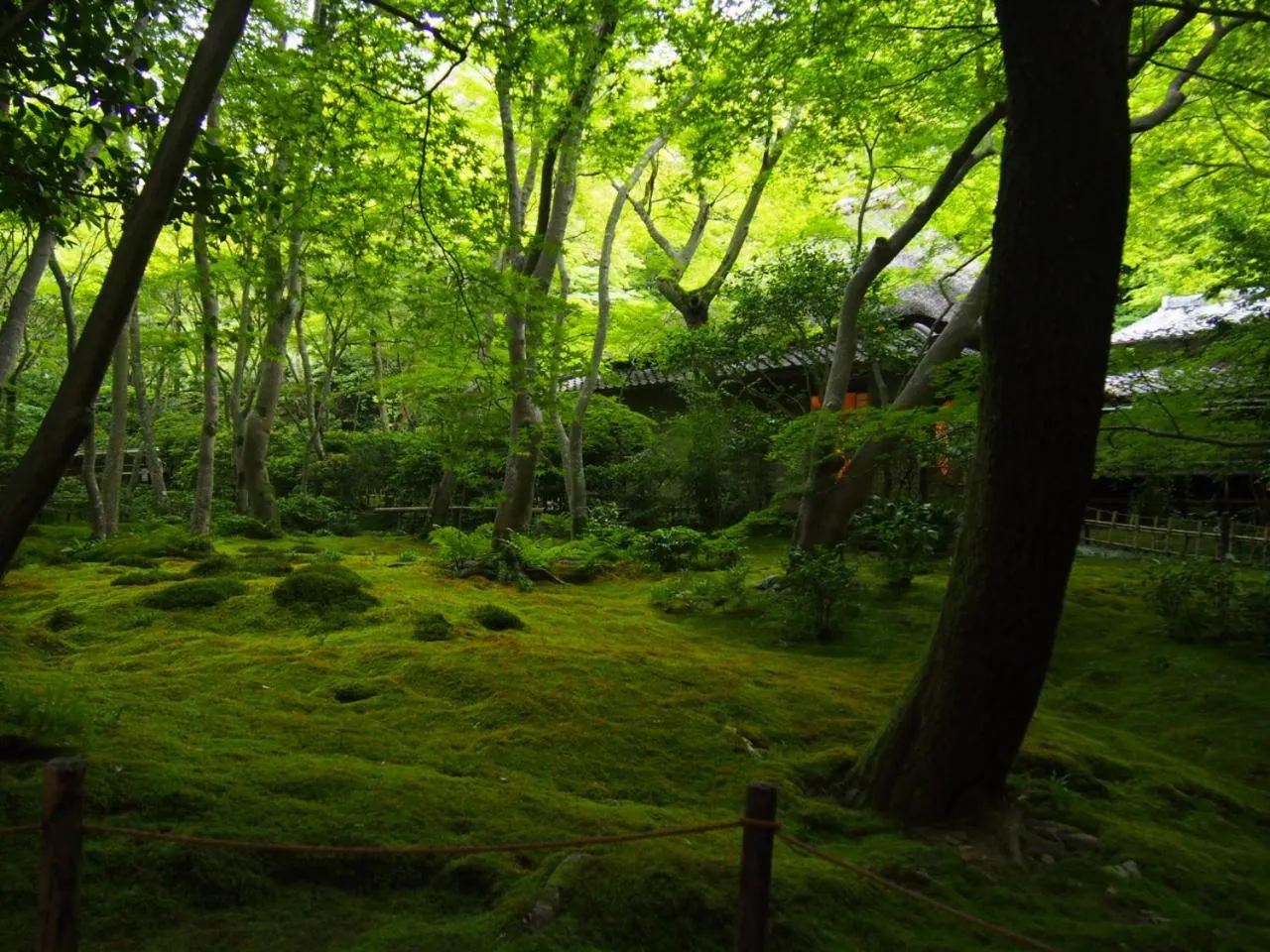 Nearby landmark in Sowaka