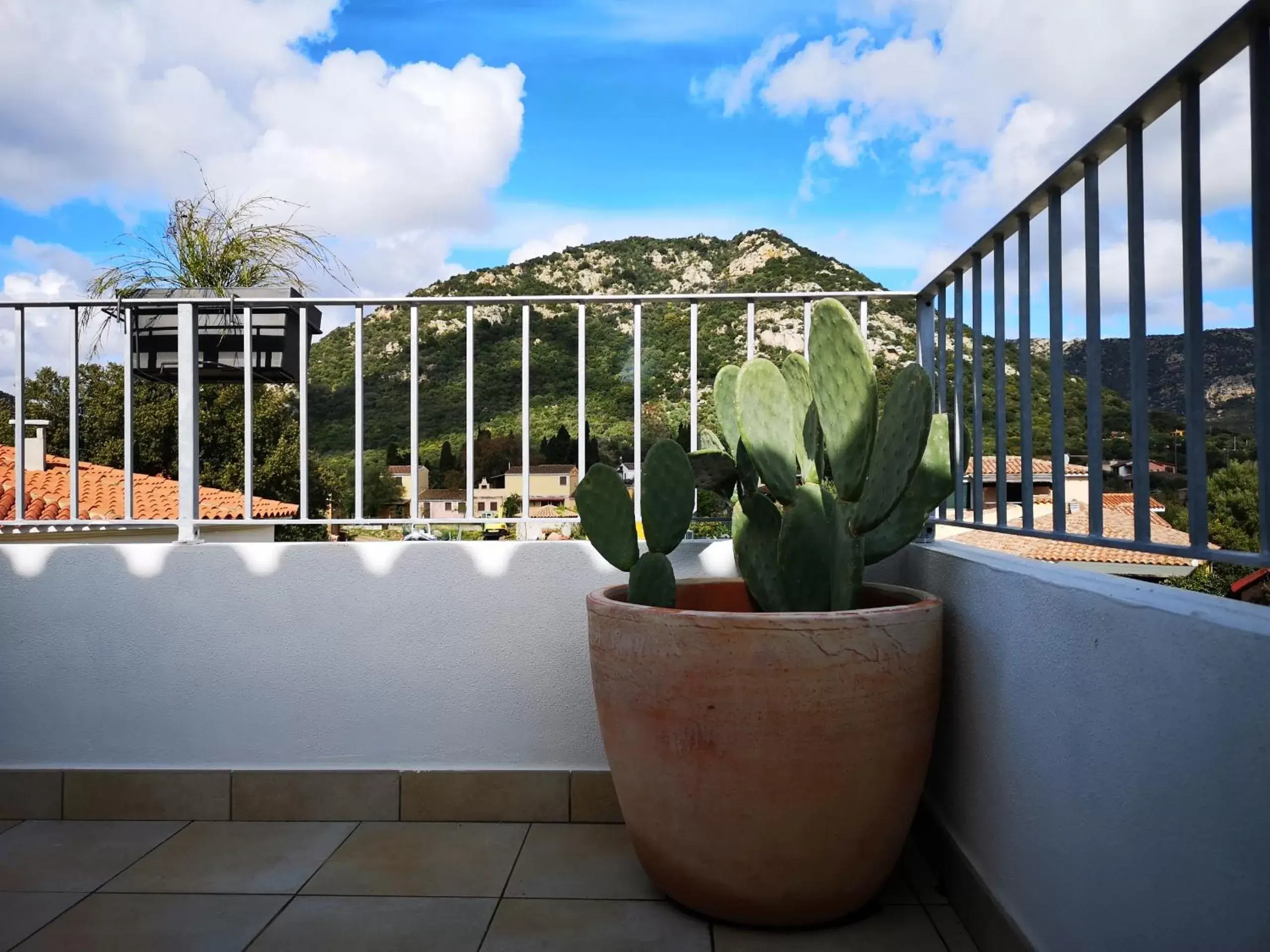 Patio, Balcony/Terrace in B&B Limone