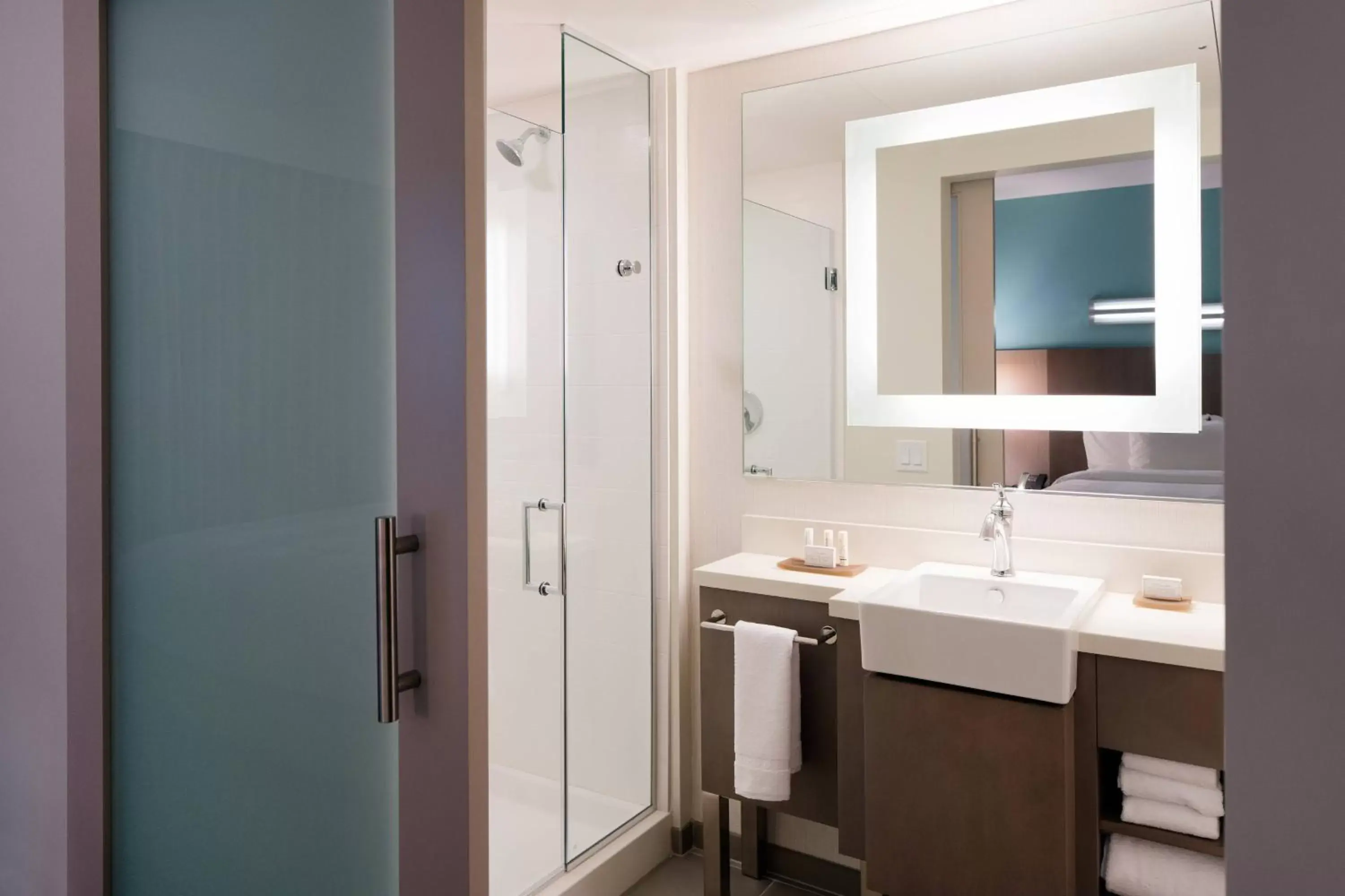 Bathroom in SpringHill Suites by Marriott San Diego Downtown/Bayfront