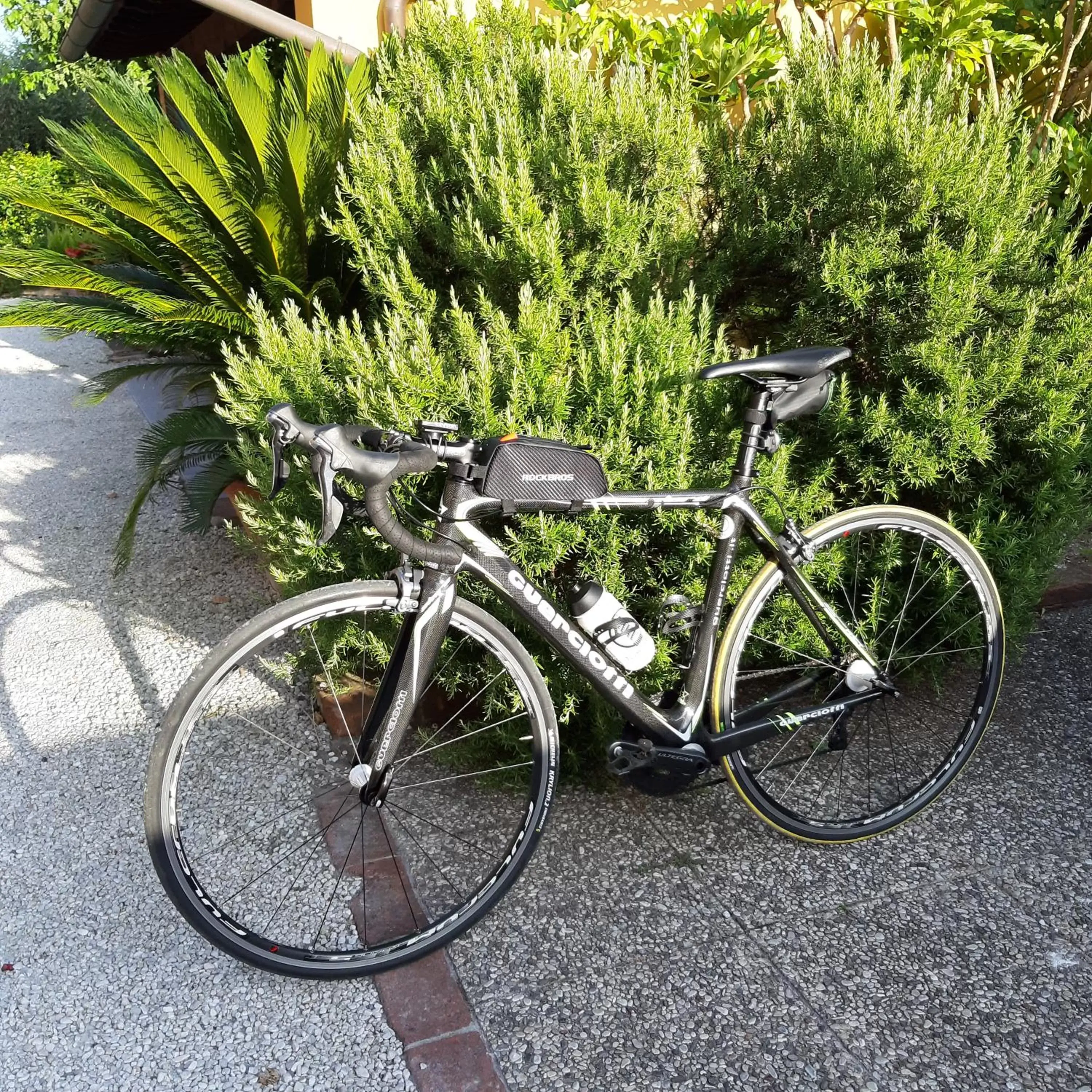 Biking in B&B La corte di Stelio