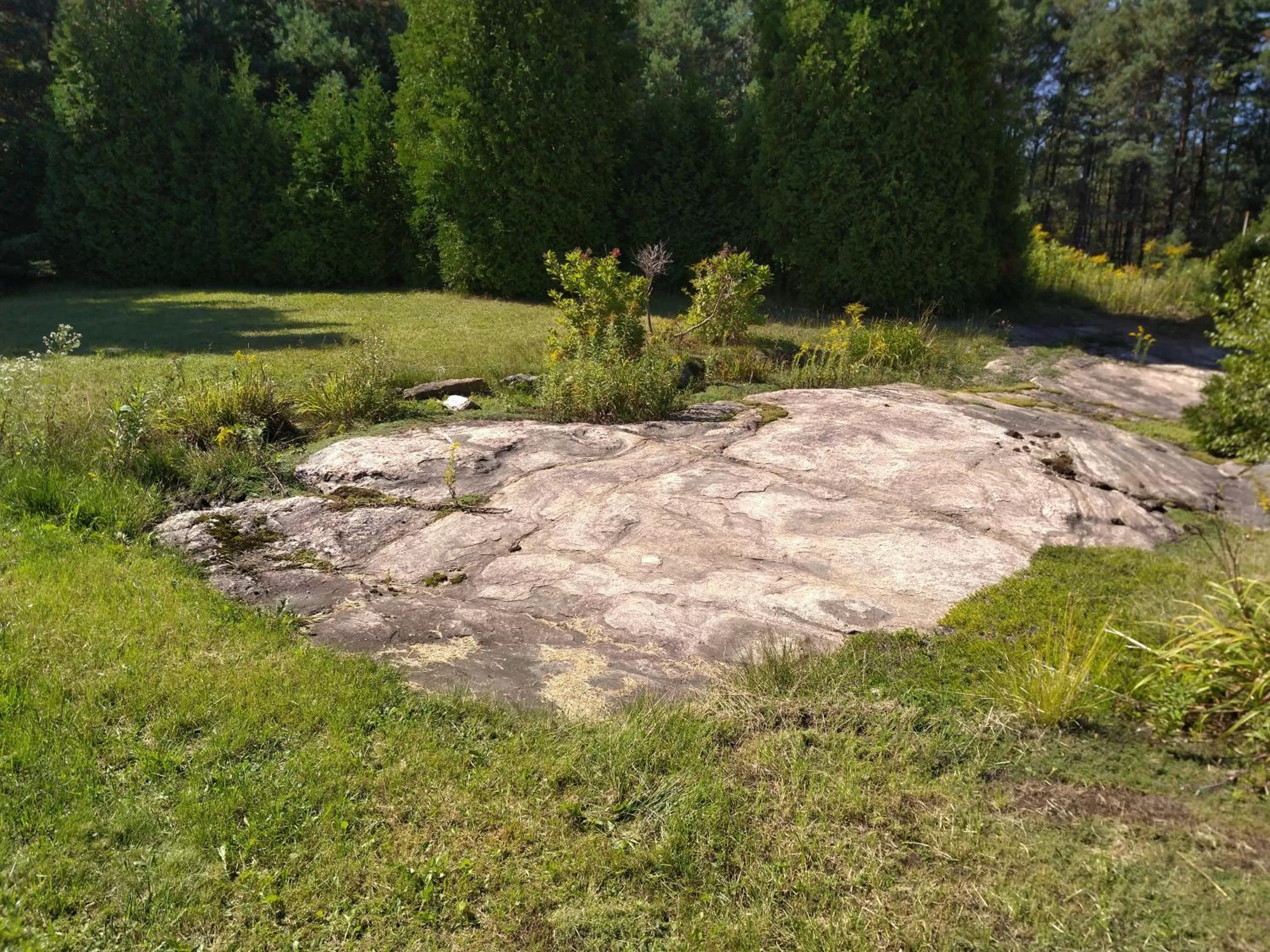 Spring in Auberge Pique Nique