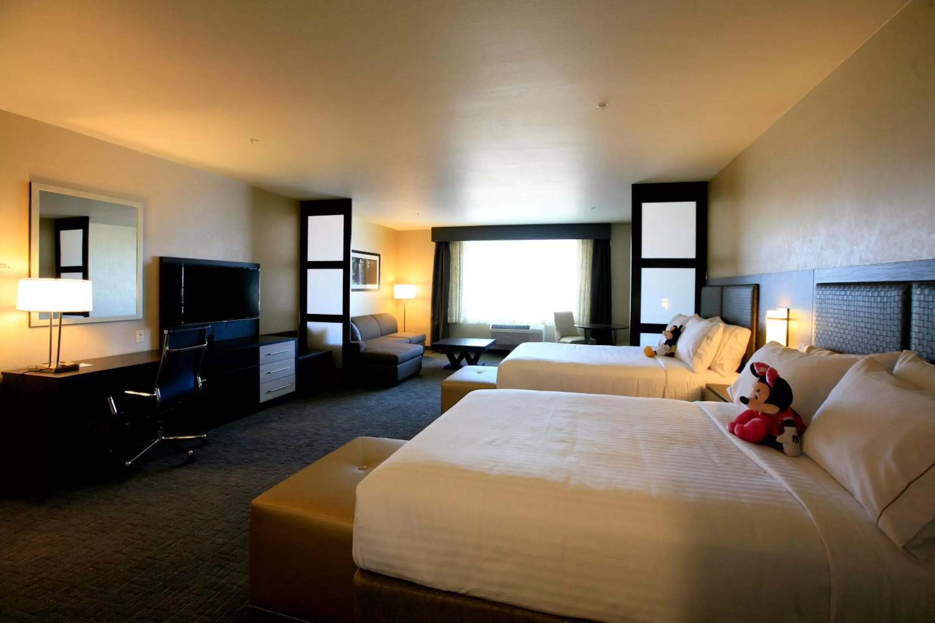 Photo of the whole room in Holiday Inn Express & Suites Anaheim Resort Area, an IHG Hotel